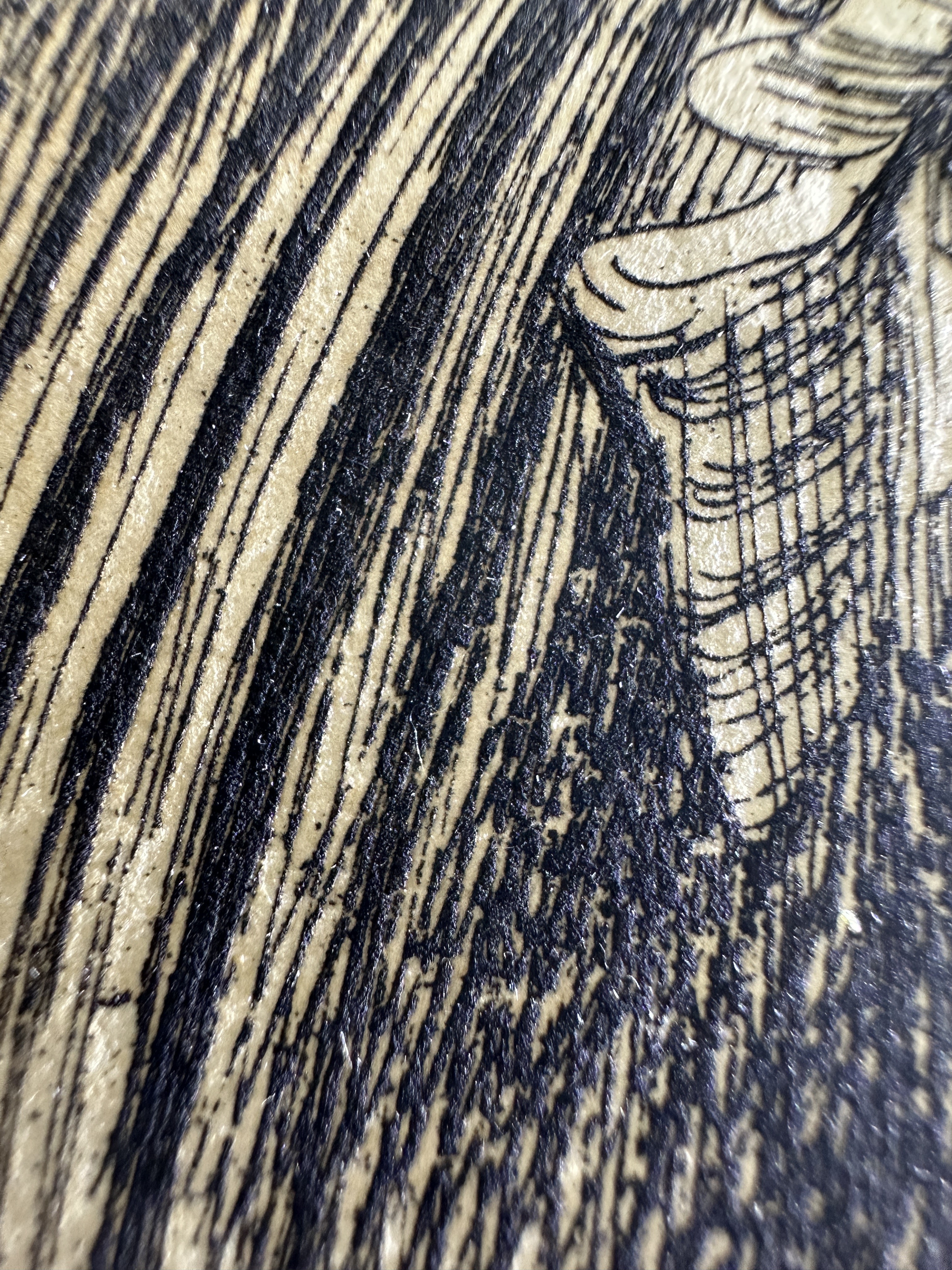 Fig.17 Macro Details