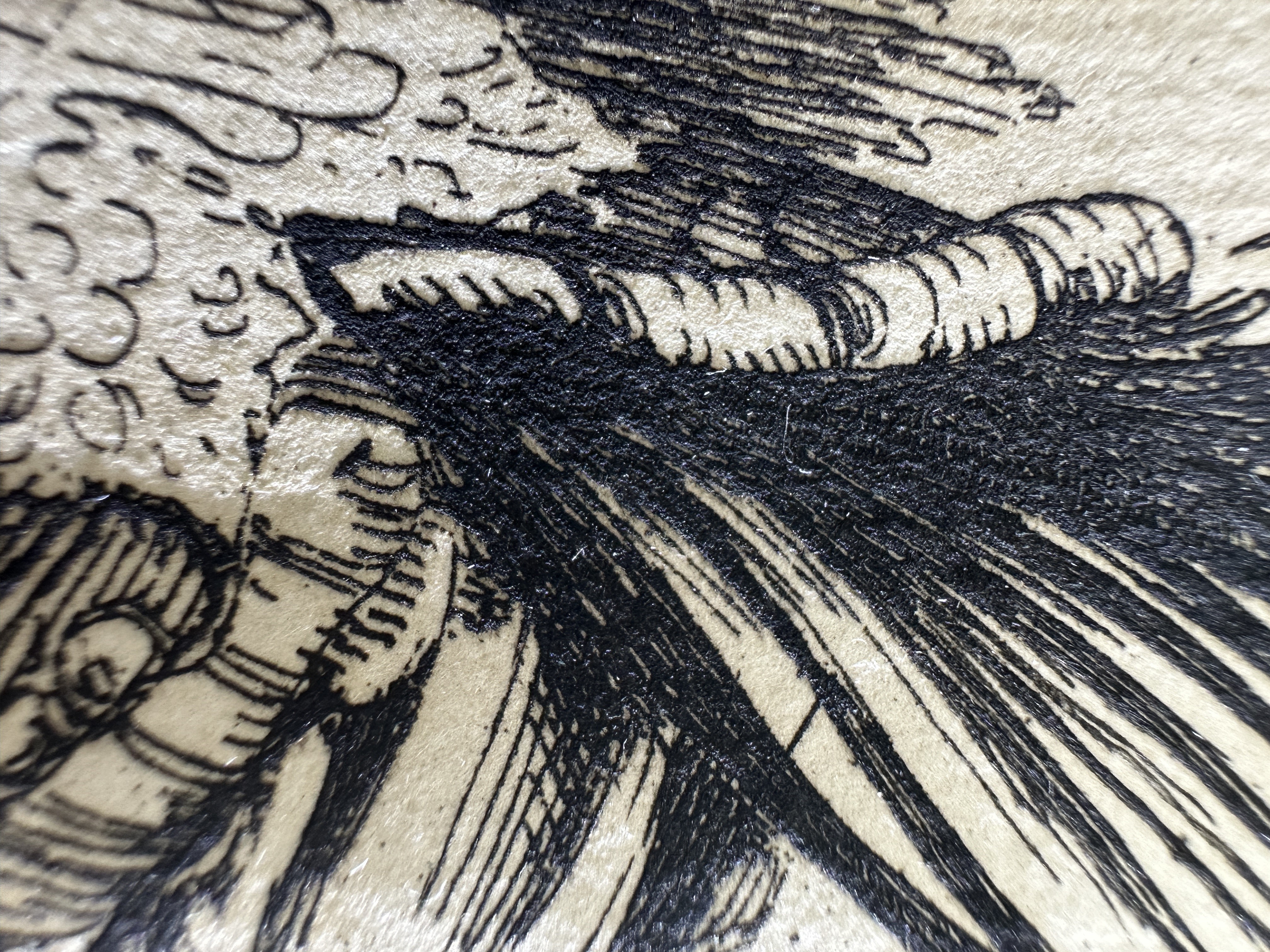 Fig.18 Macro Details