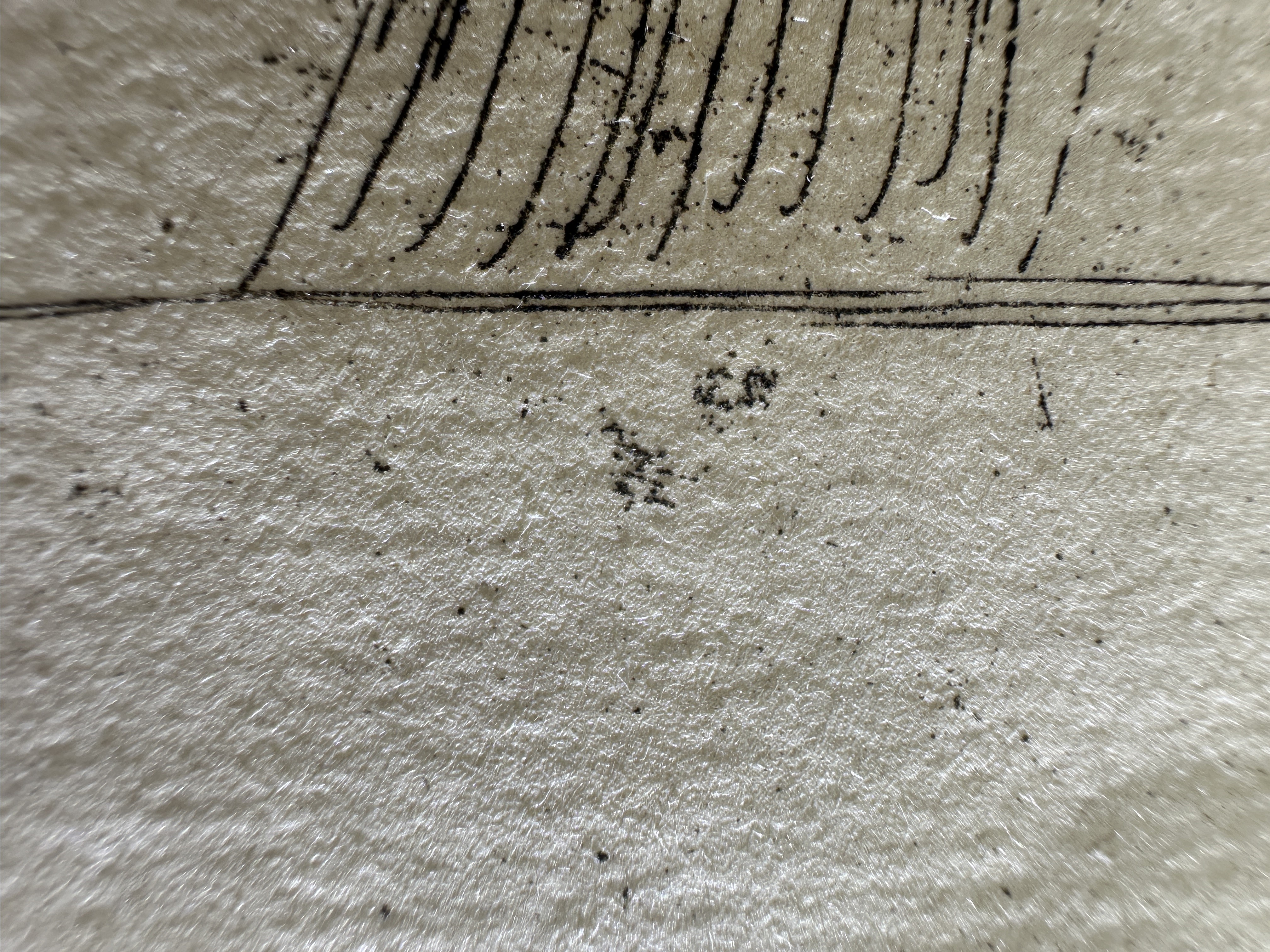 Fig.23 Macro Details