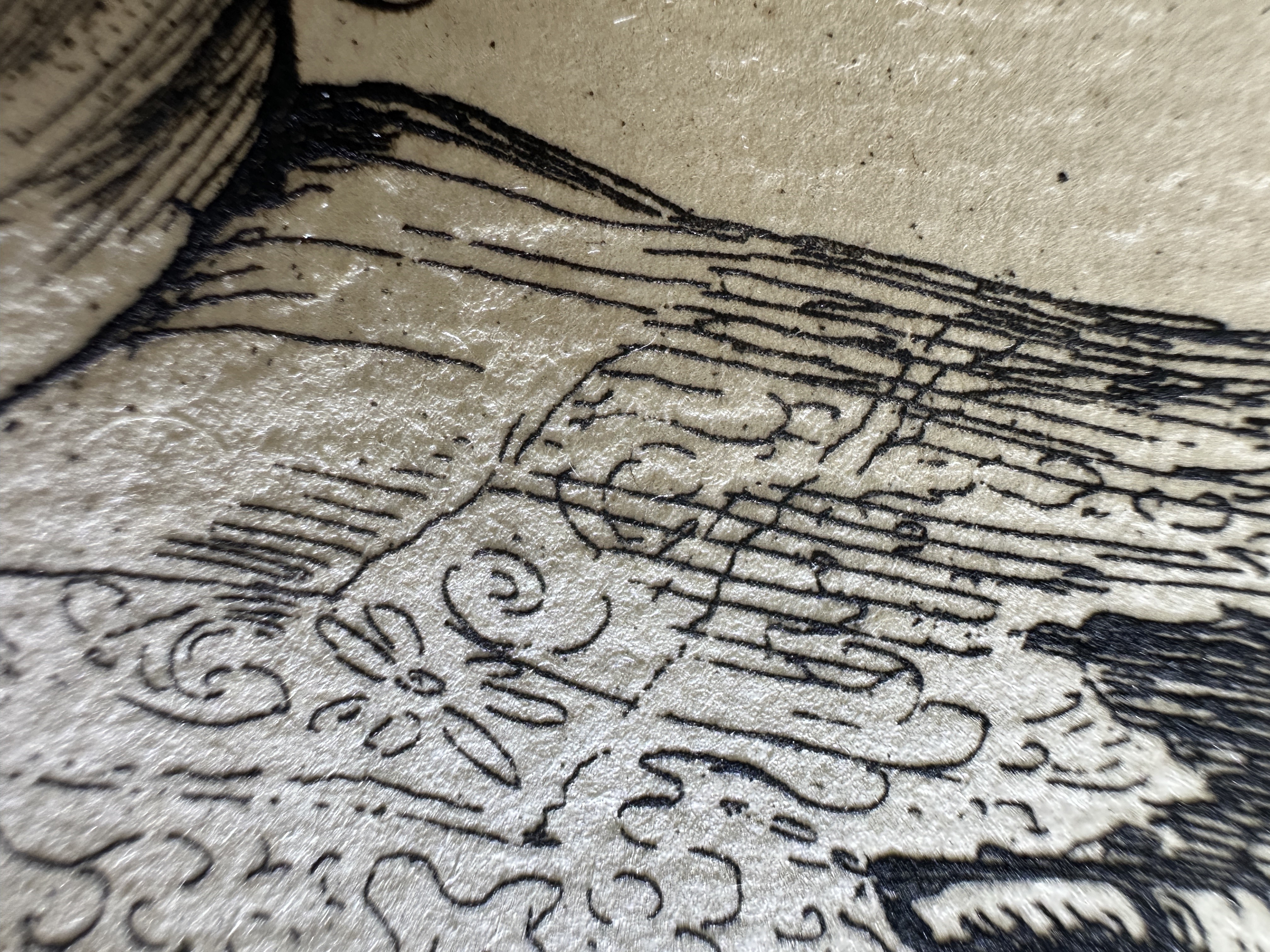 Fig.20 Macro Details