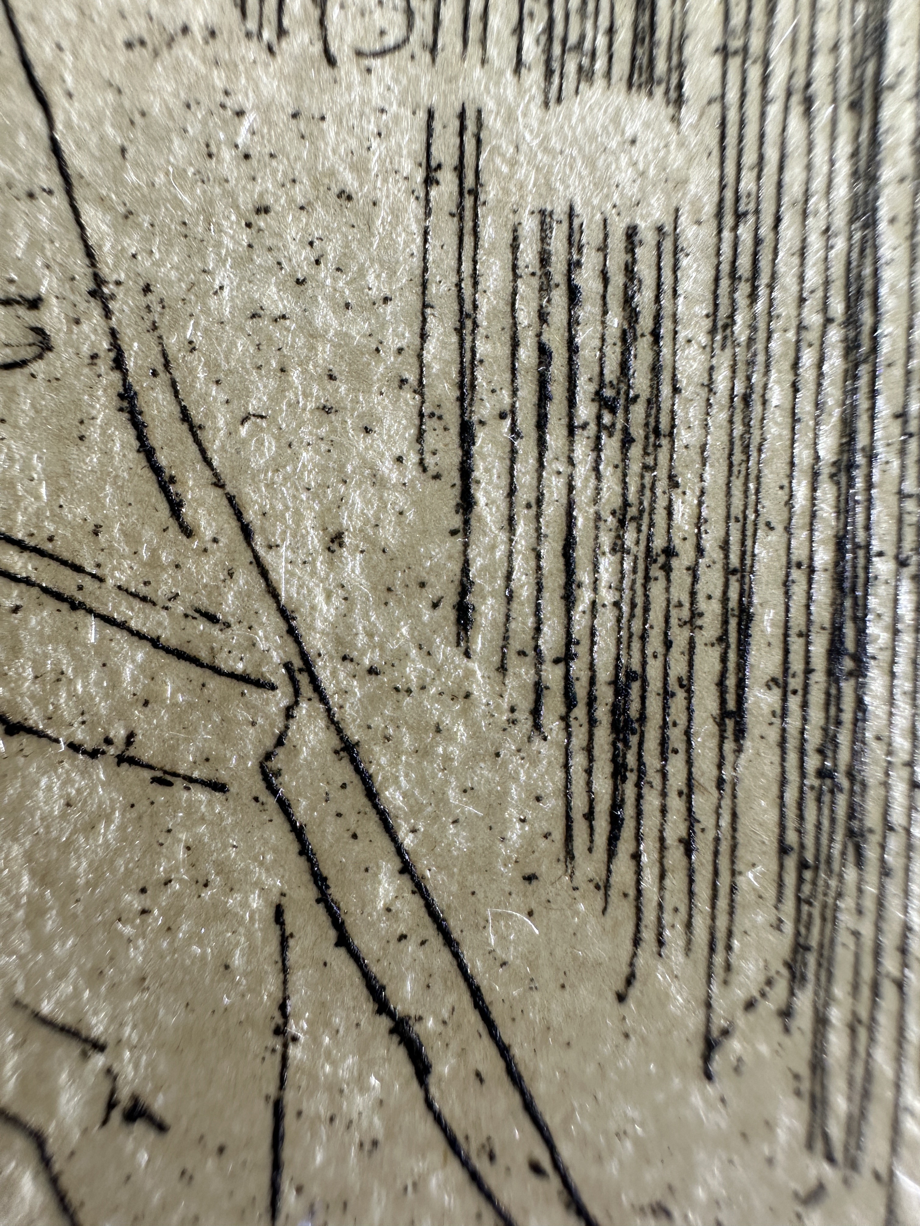 Fig.26 Macro Details