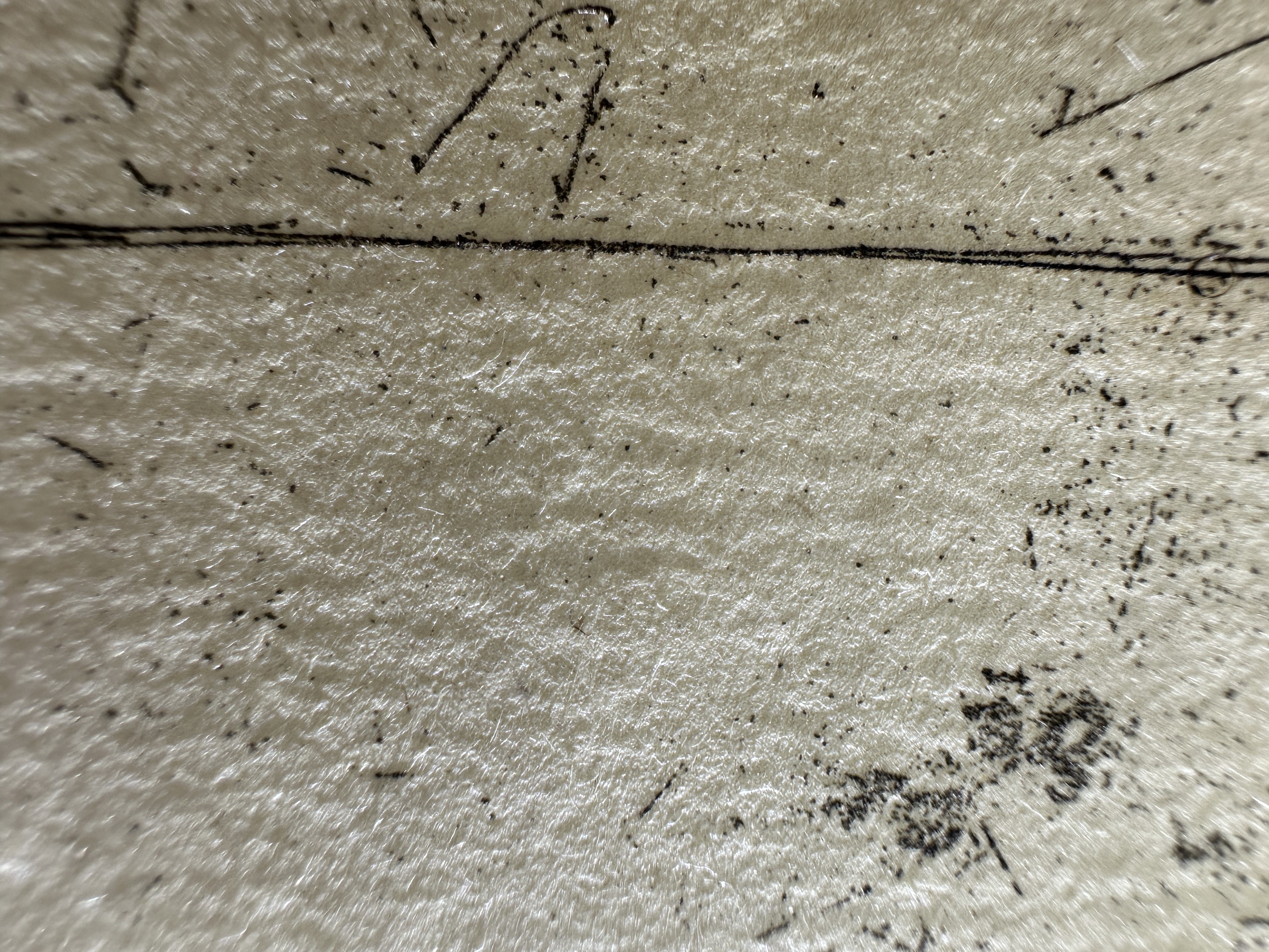 Fig.24 Macro Details