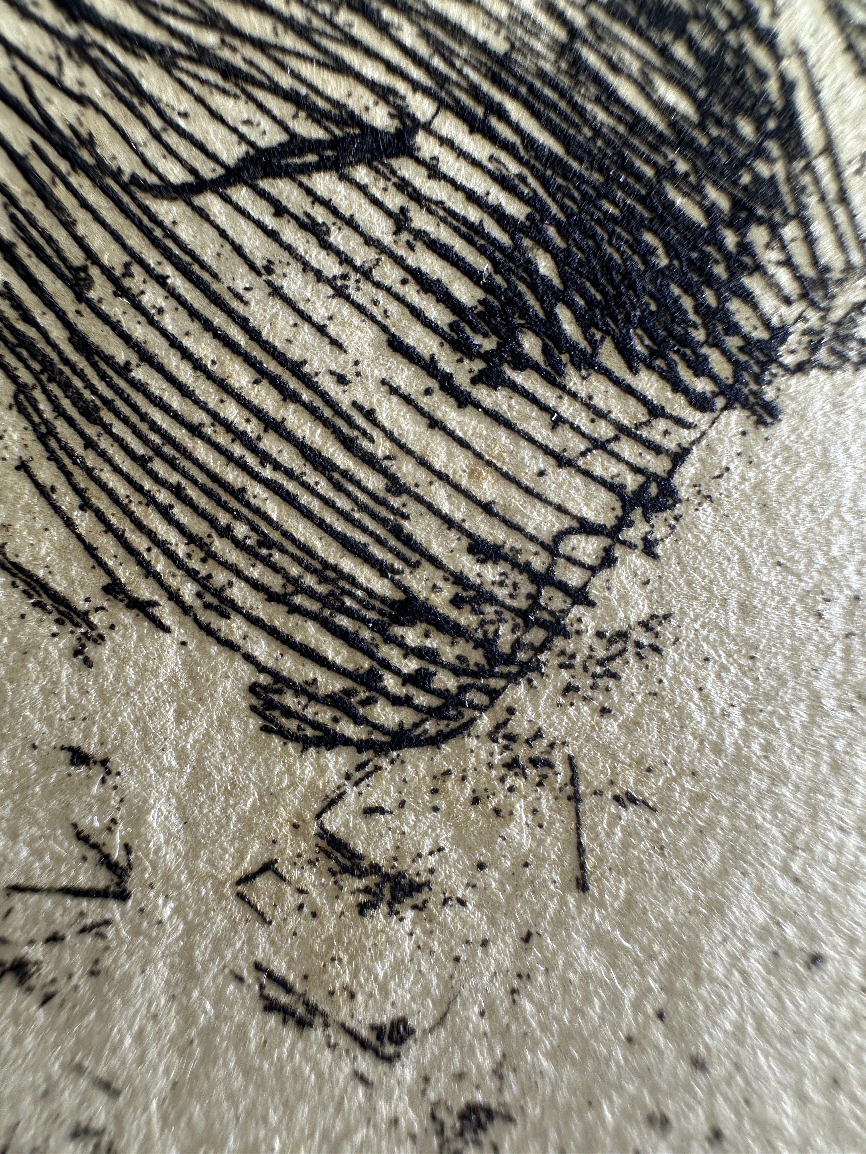 Fig.25 Macro Details