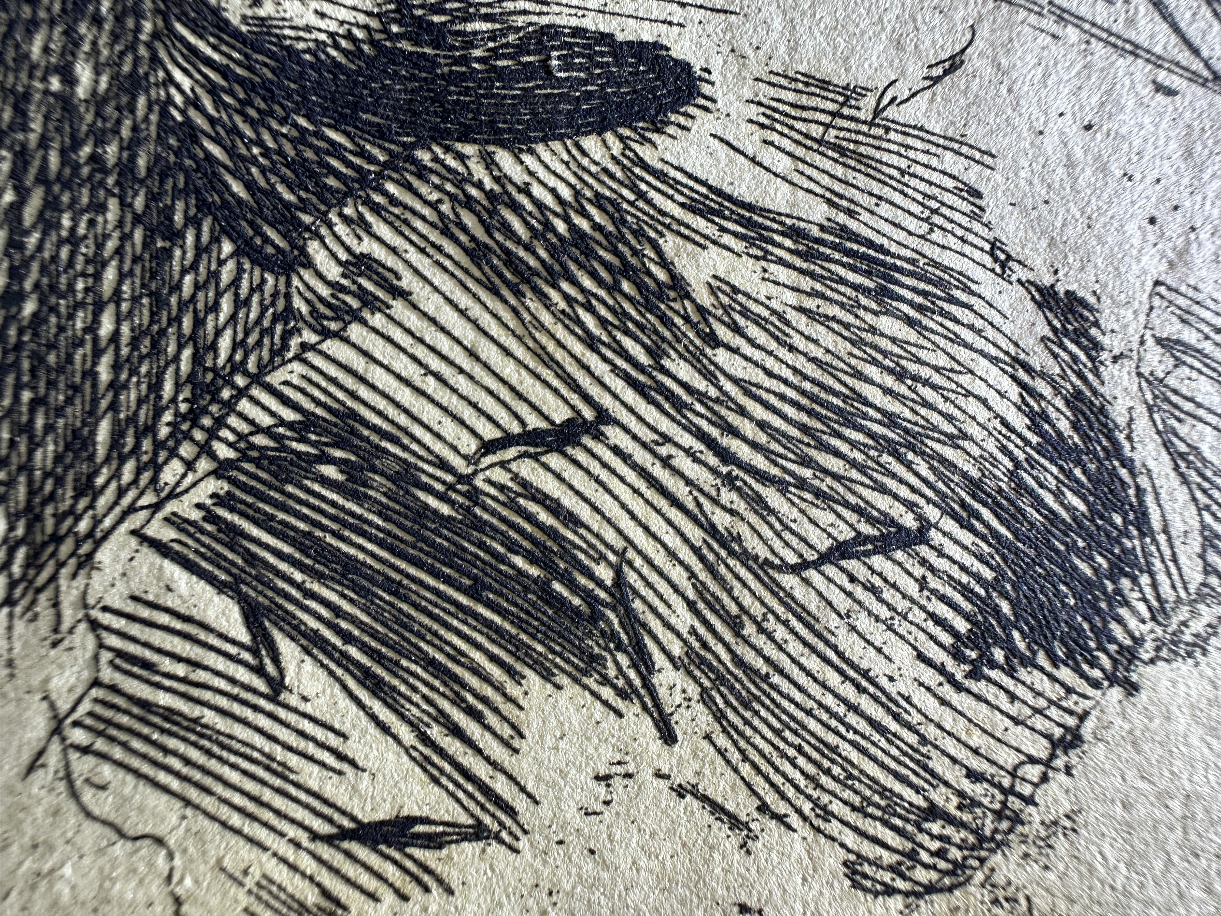 Fig.28 Macro Details