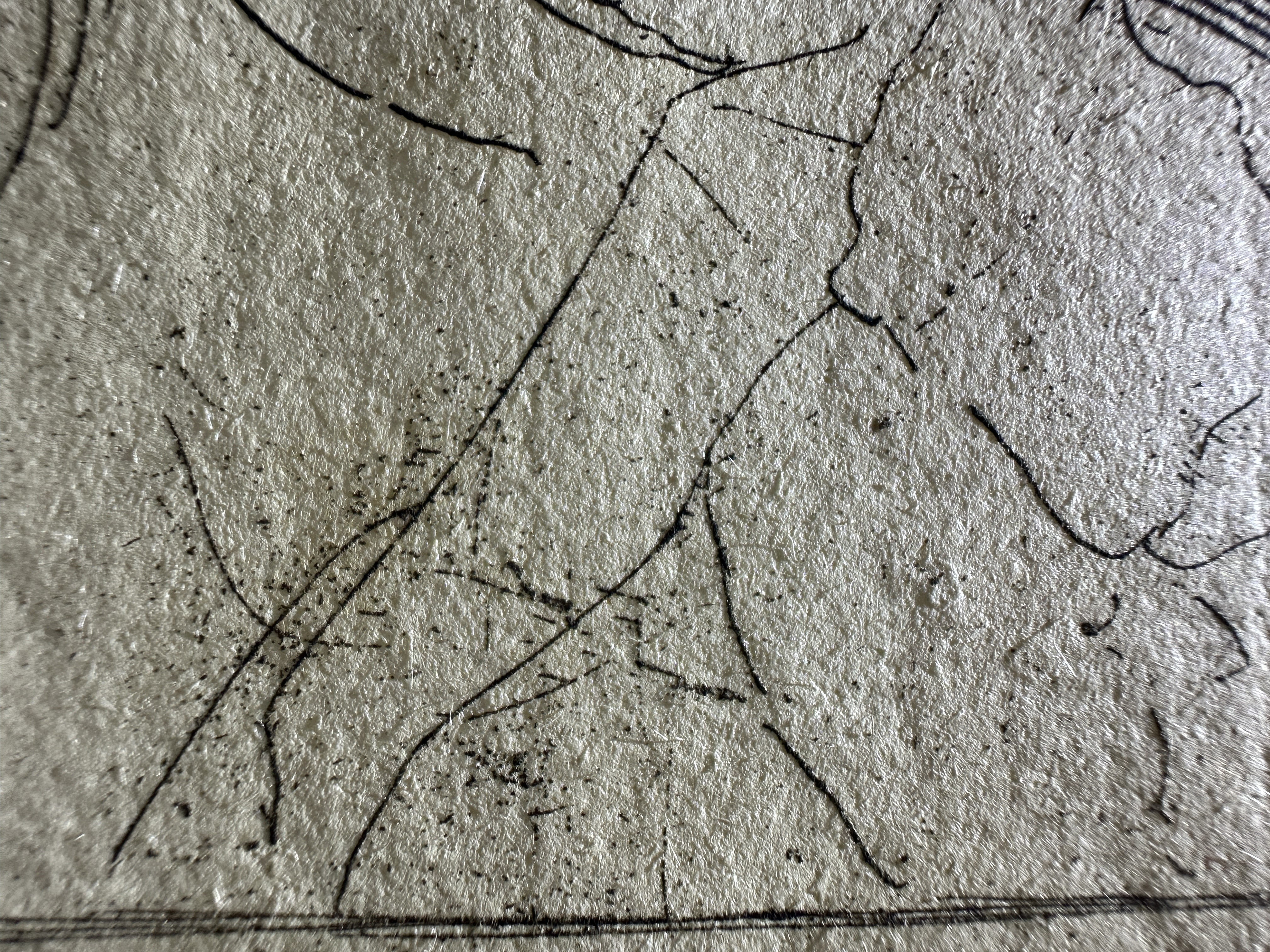 Fig.27 Macro Details