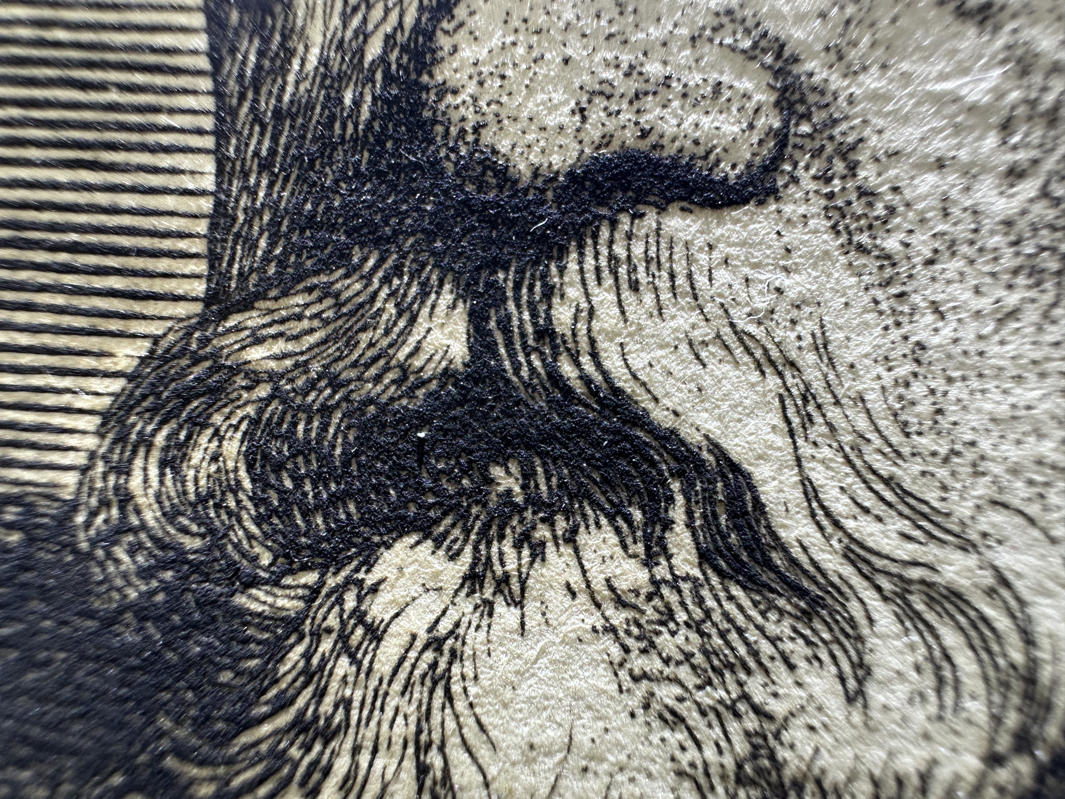 Fig.3 High-density tonal construction by combined stippling and layered etched lines