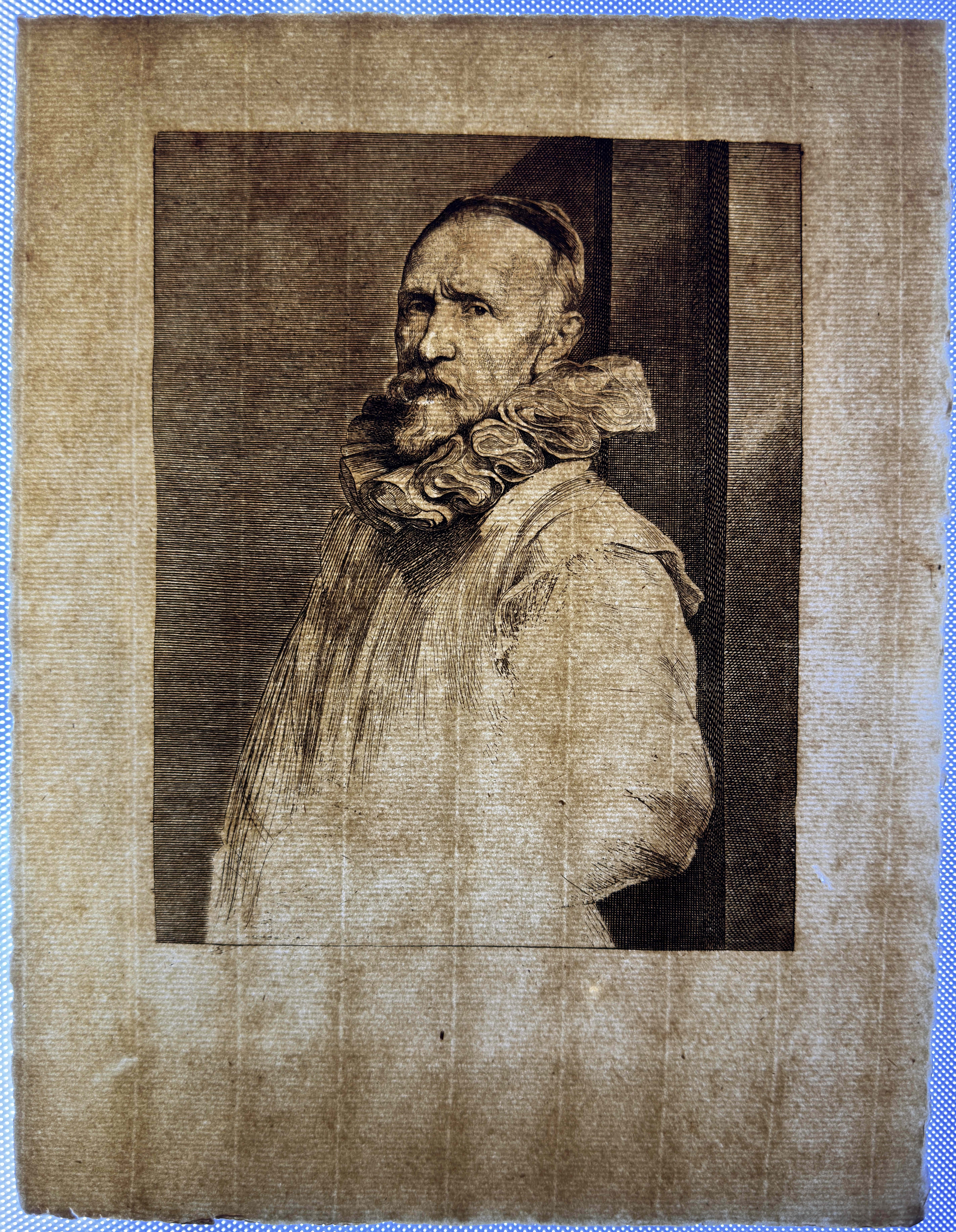 Full sheet, reverse in transmitted light