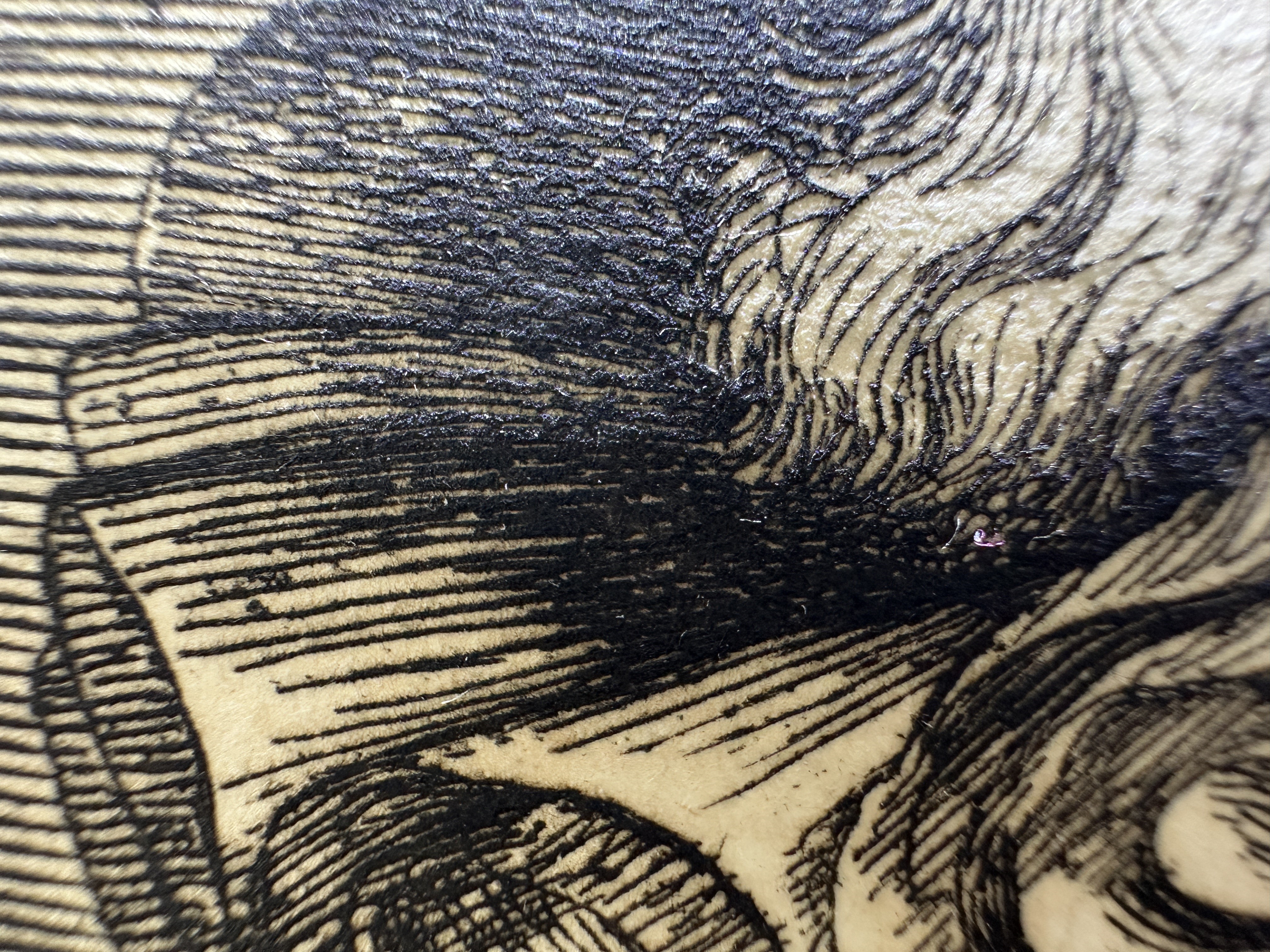 Fig.13 Macro Details