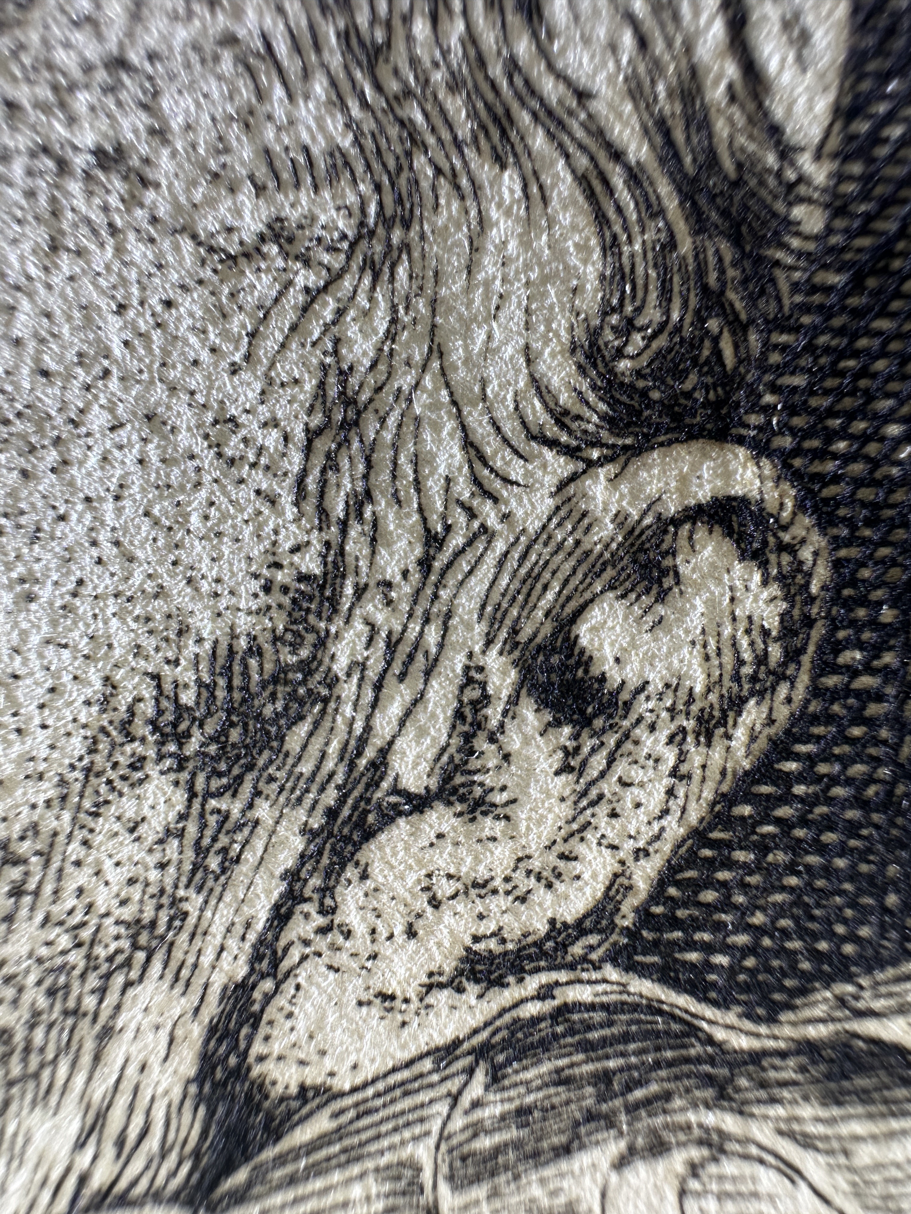 Fig.12 Macro Details