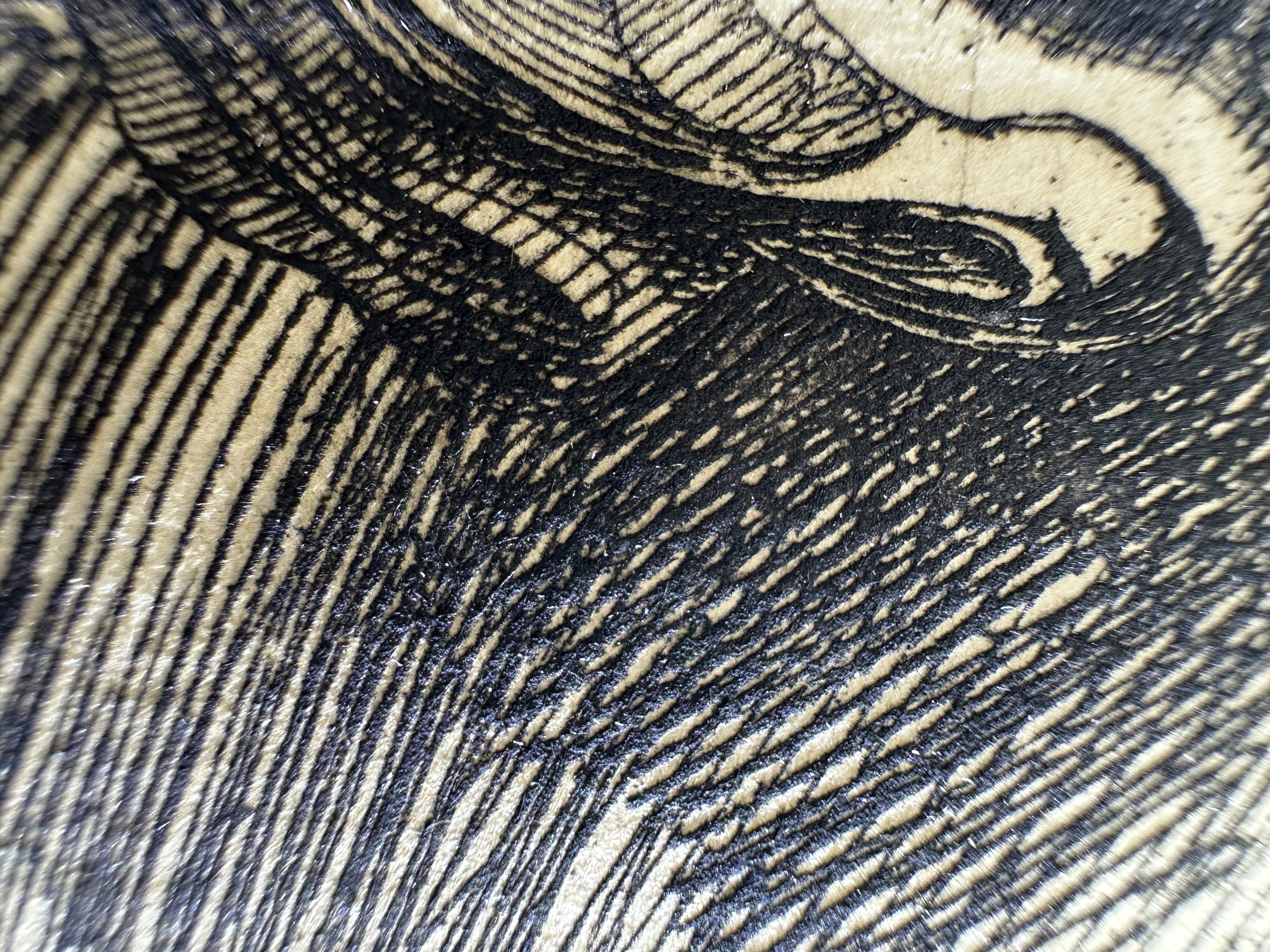 Fig.16 Macro Details