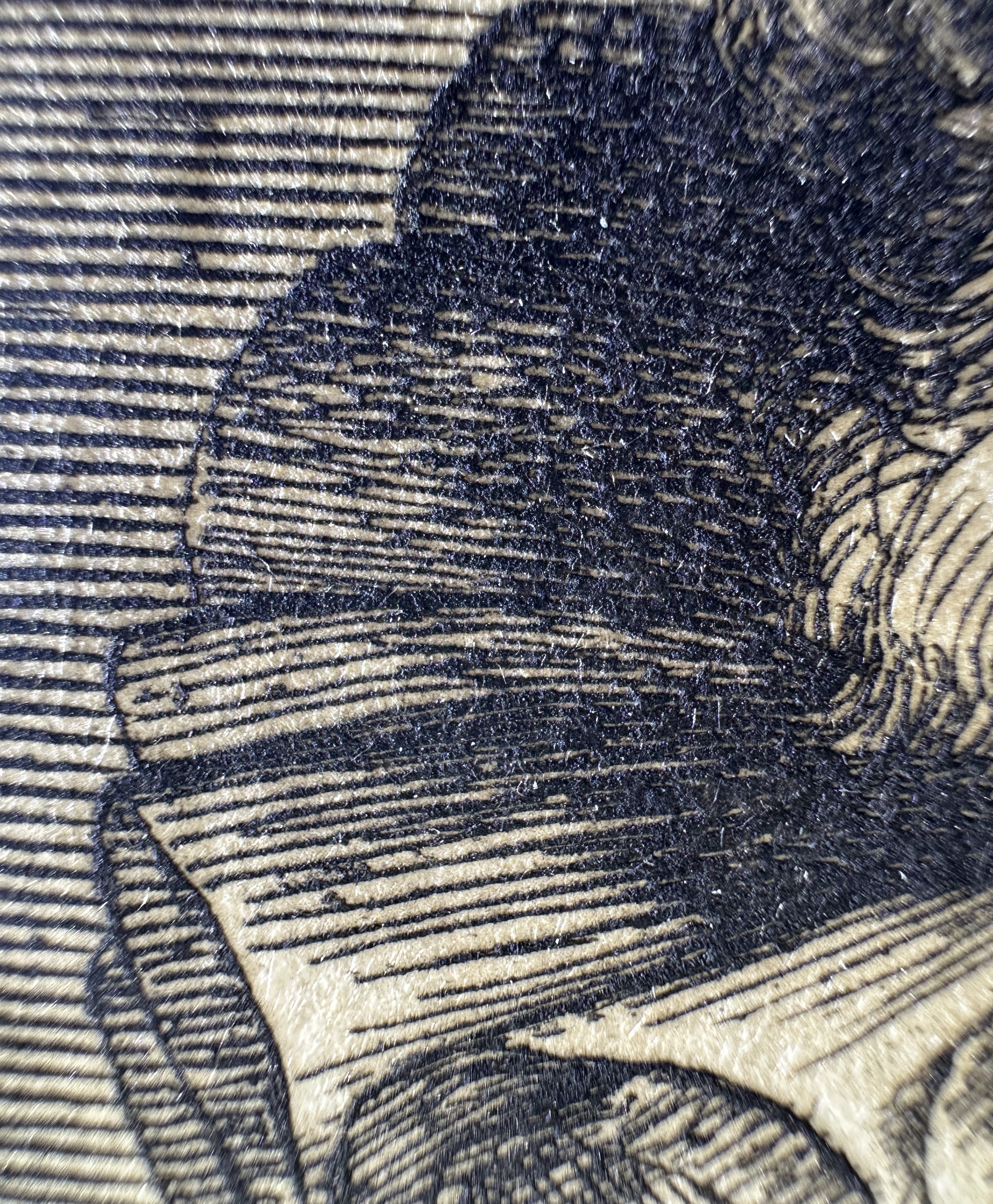 Fig.15 Macro Details