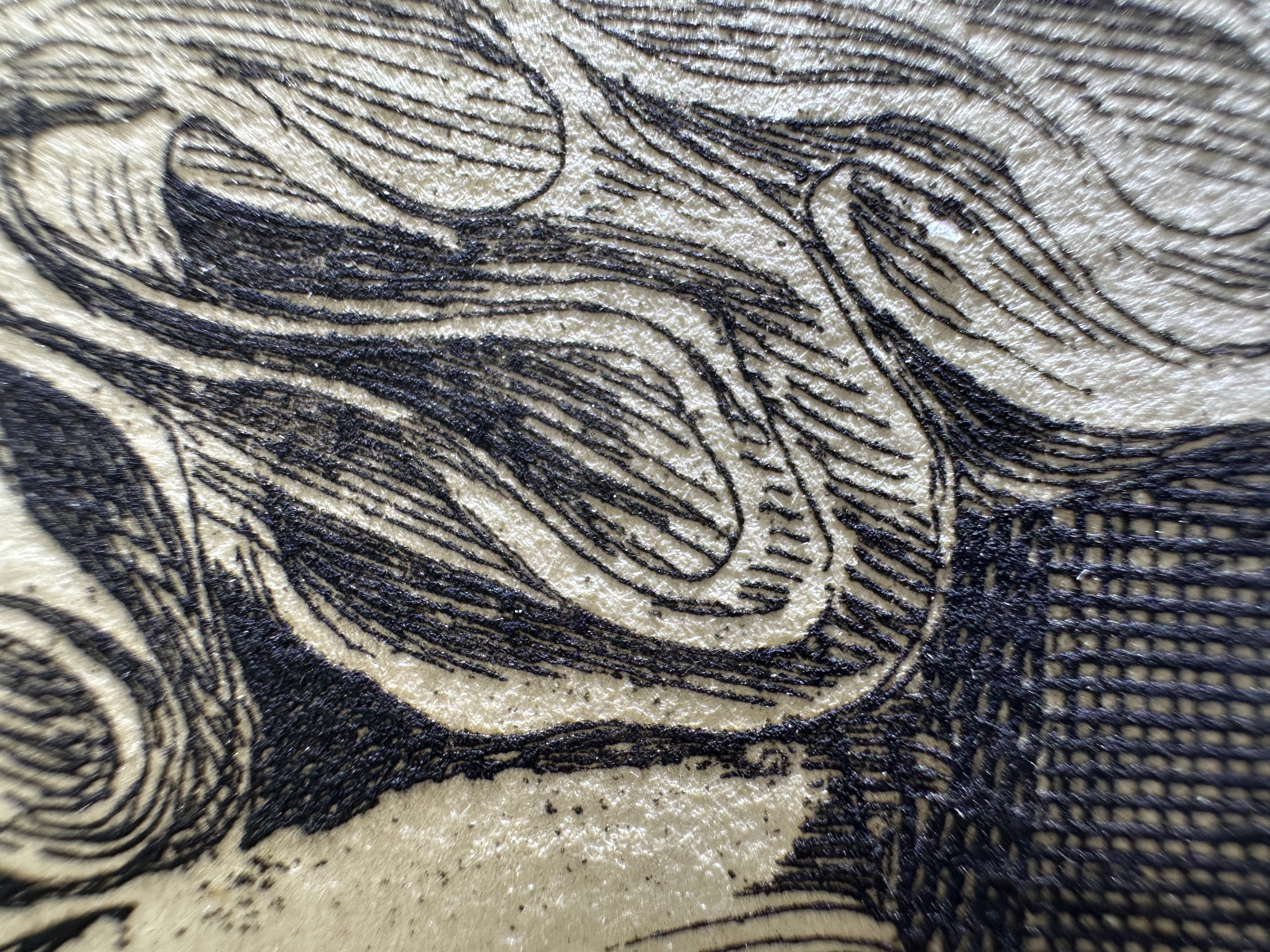 Fig.18 Macro Details