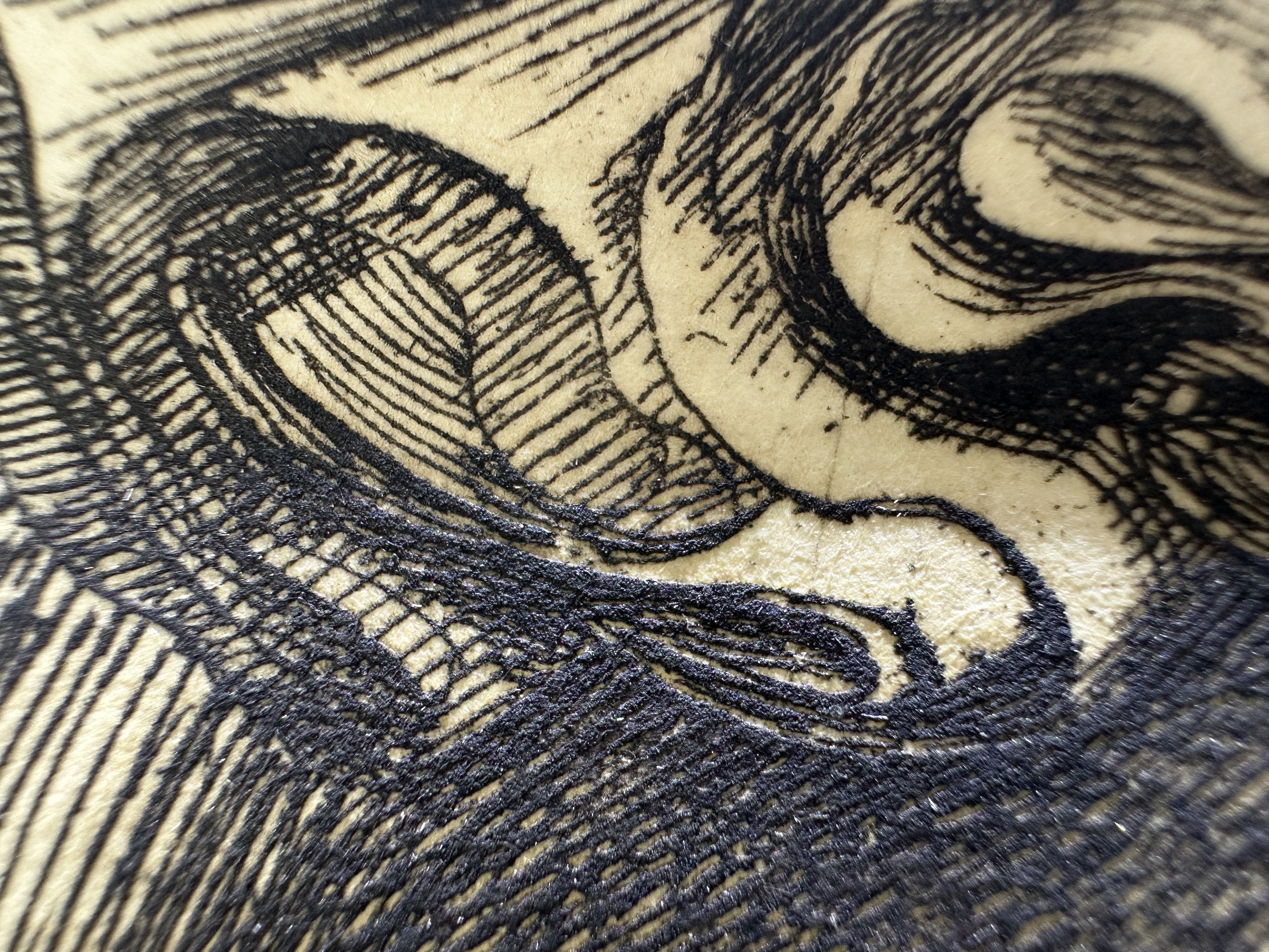 Fig.17 Macro Details