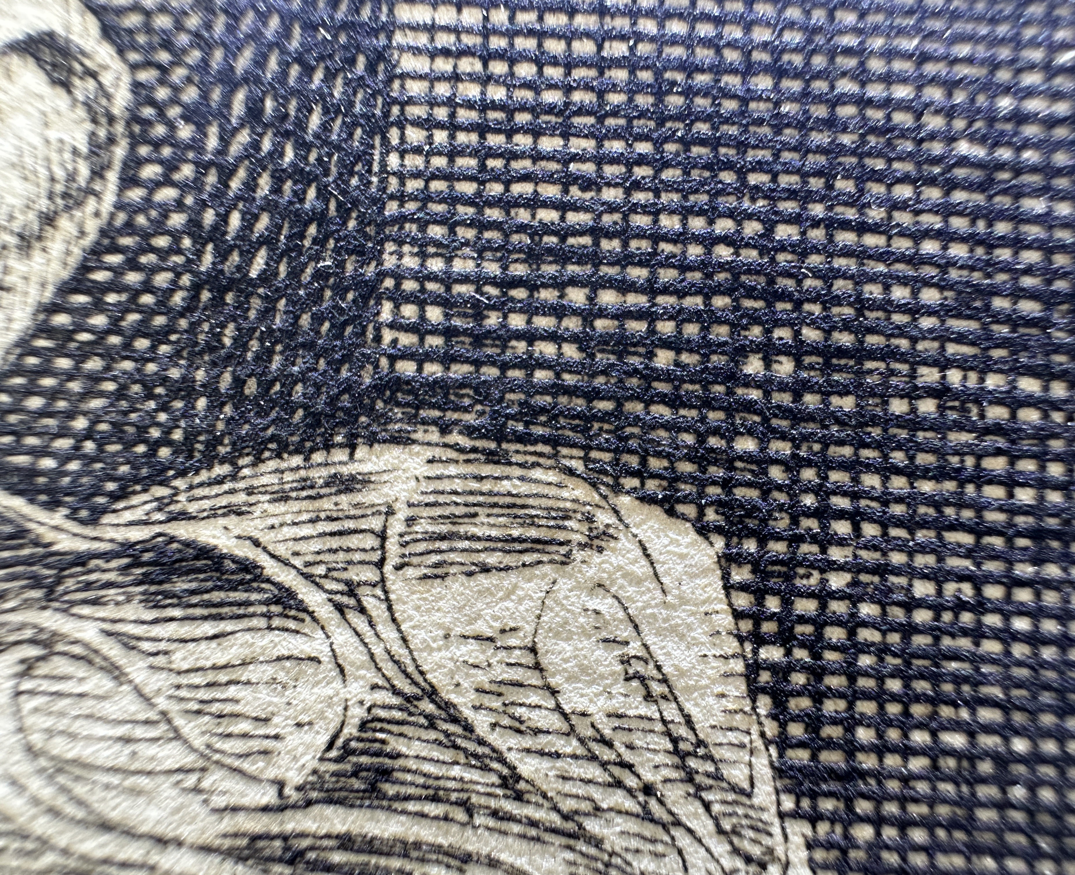 Fig.19 Macro Details