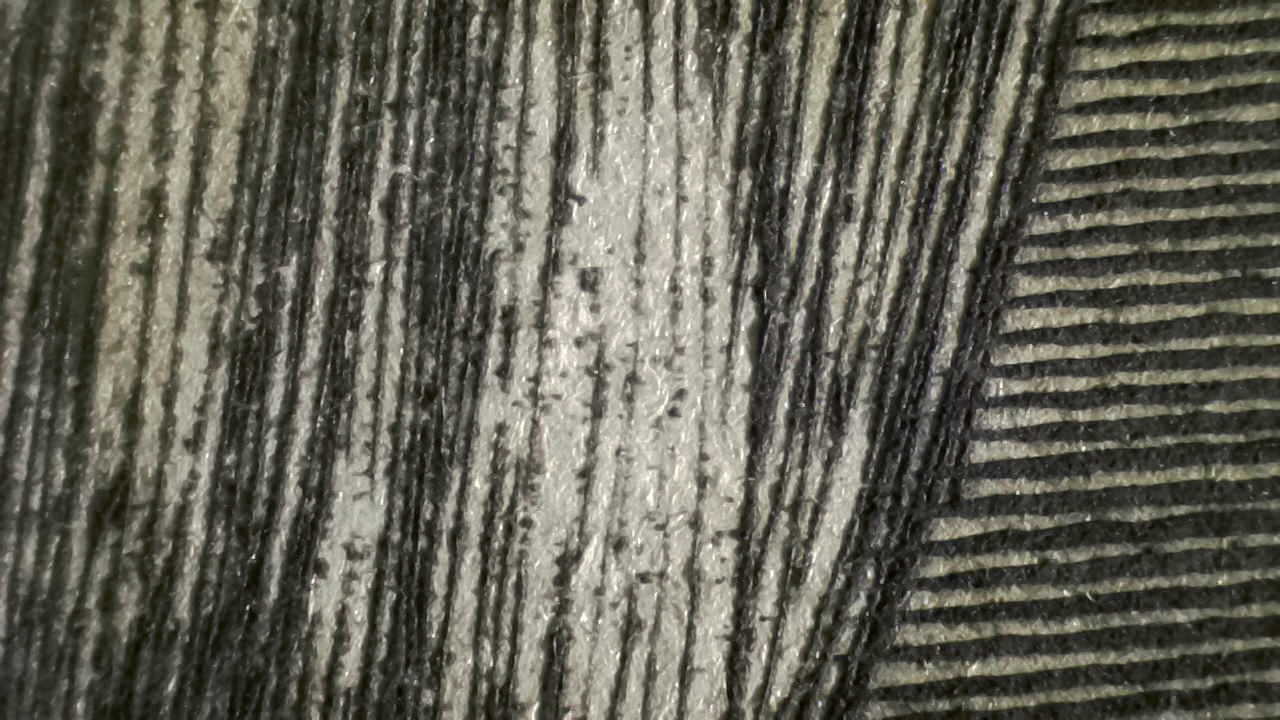 Fig.11 Micro Details