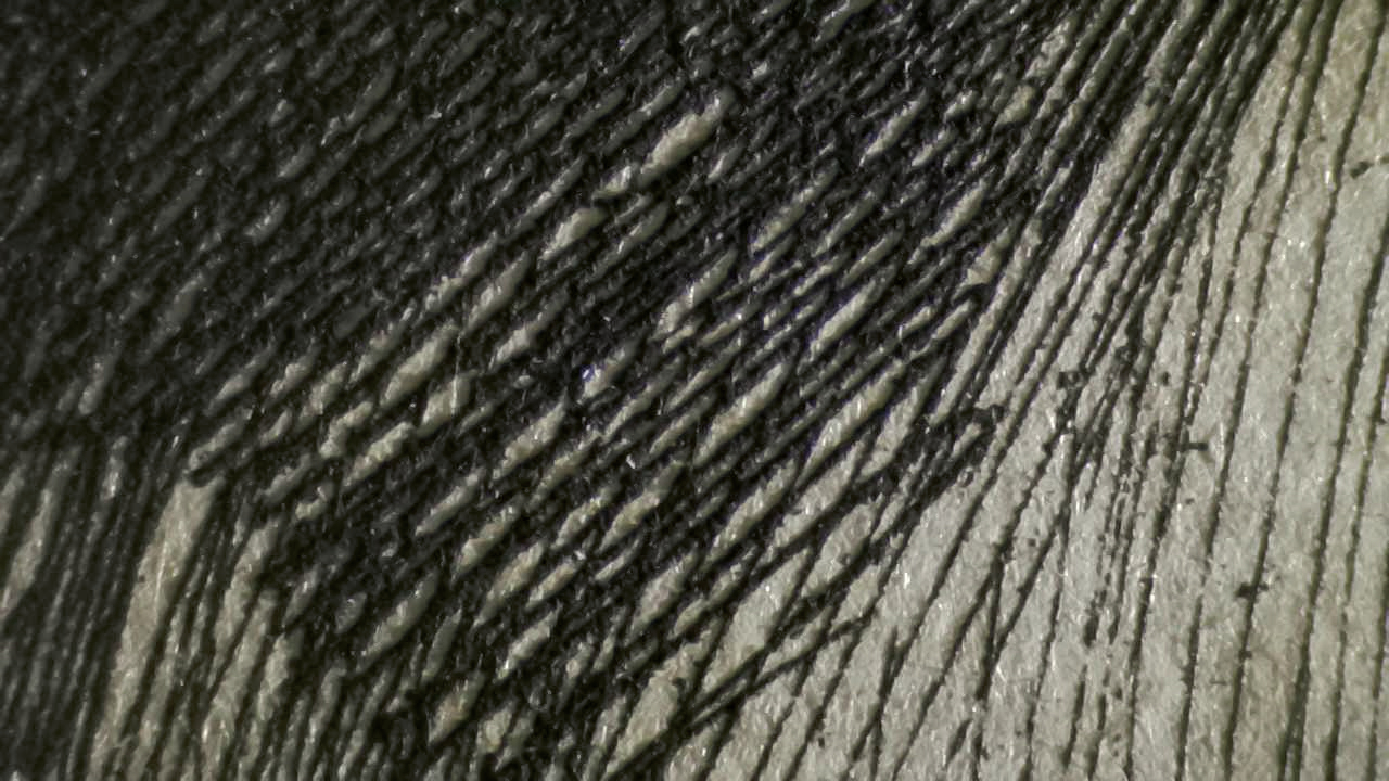 Fig.12 Micro Details