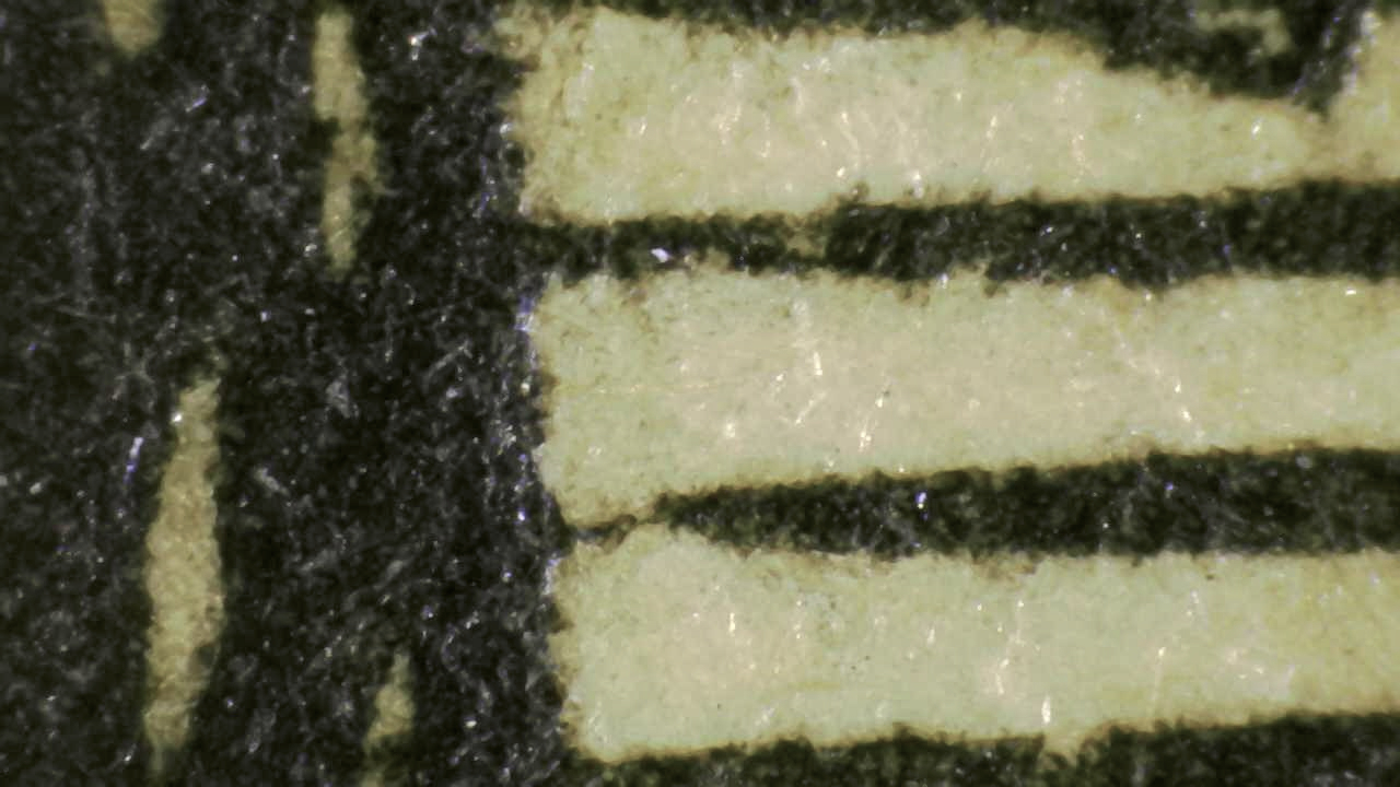 Paper fibers under magnification
