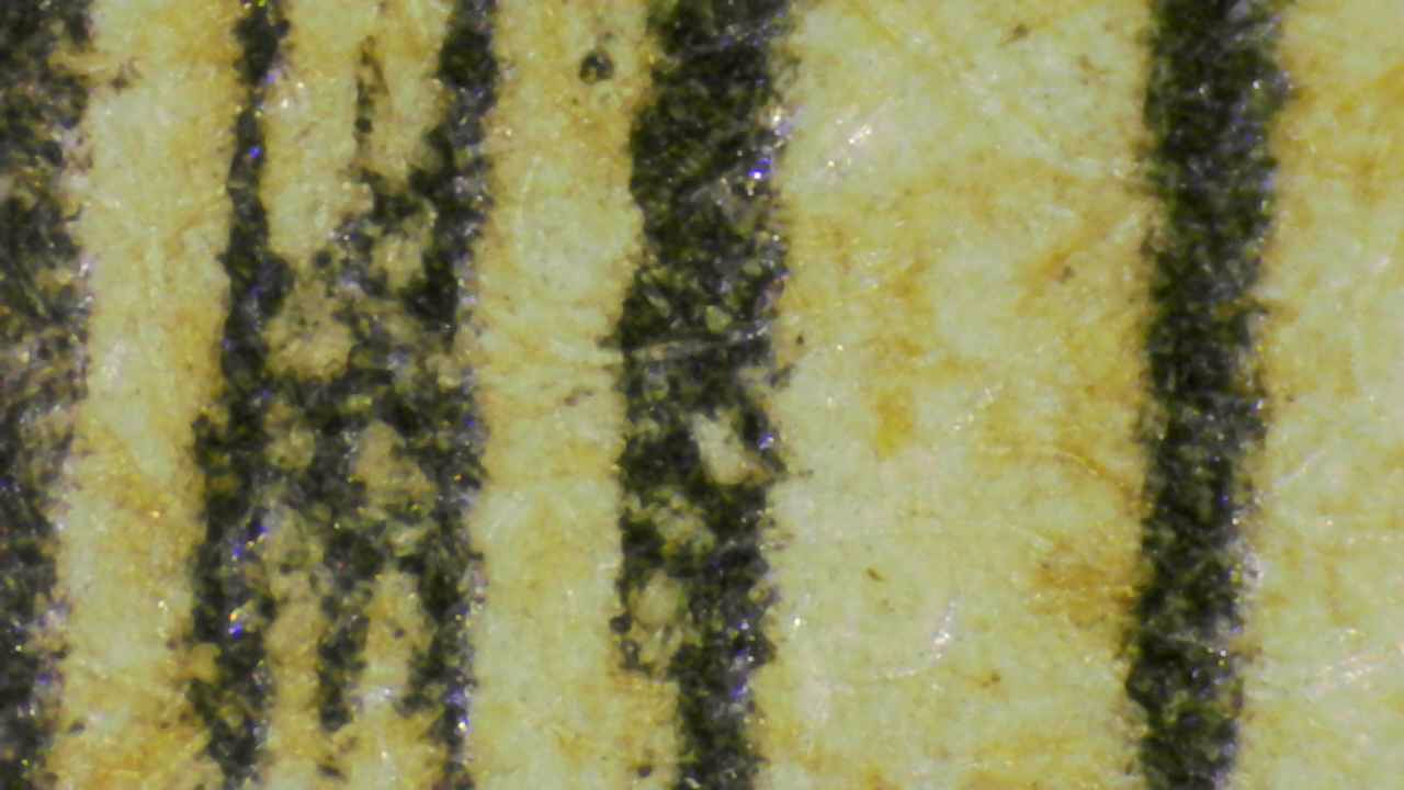 Paper fibers (laid paper structure)