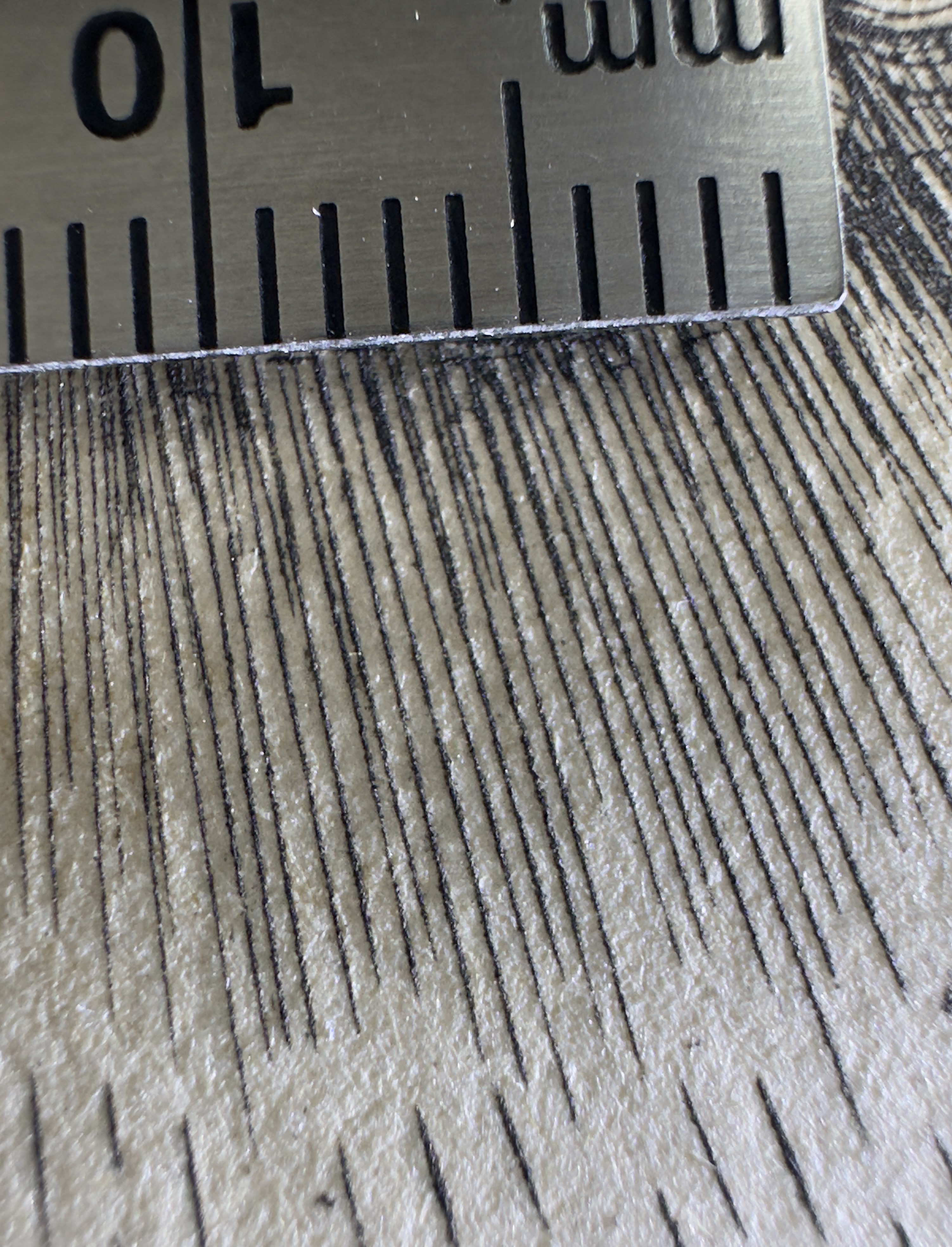 Fig.1 — Direct measurement of micro-line density with millimeter ruler