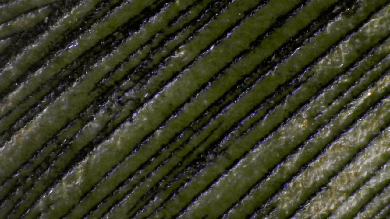 Fig.11 Micro Details