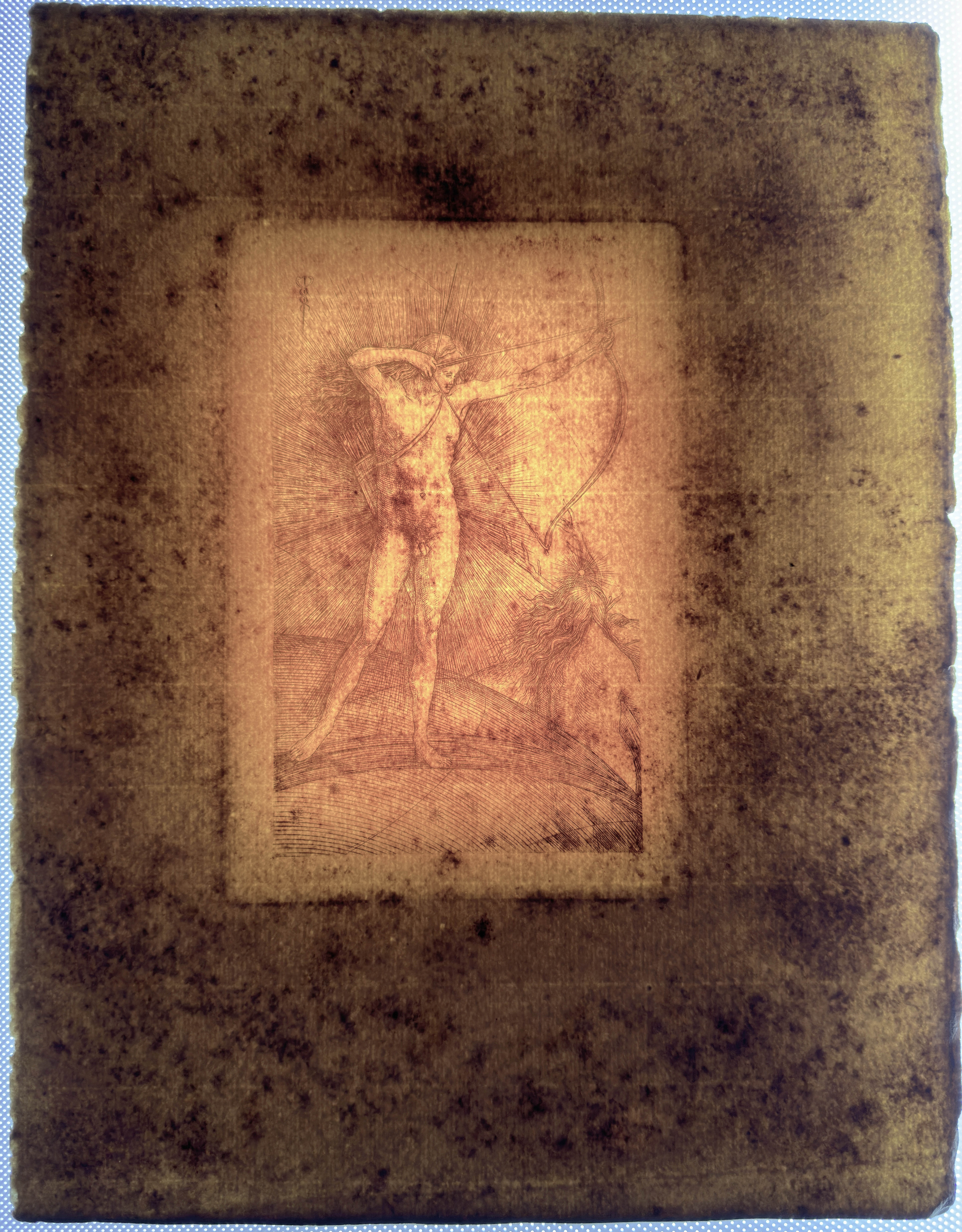 Reverse in transmitted light