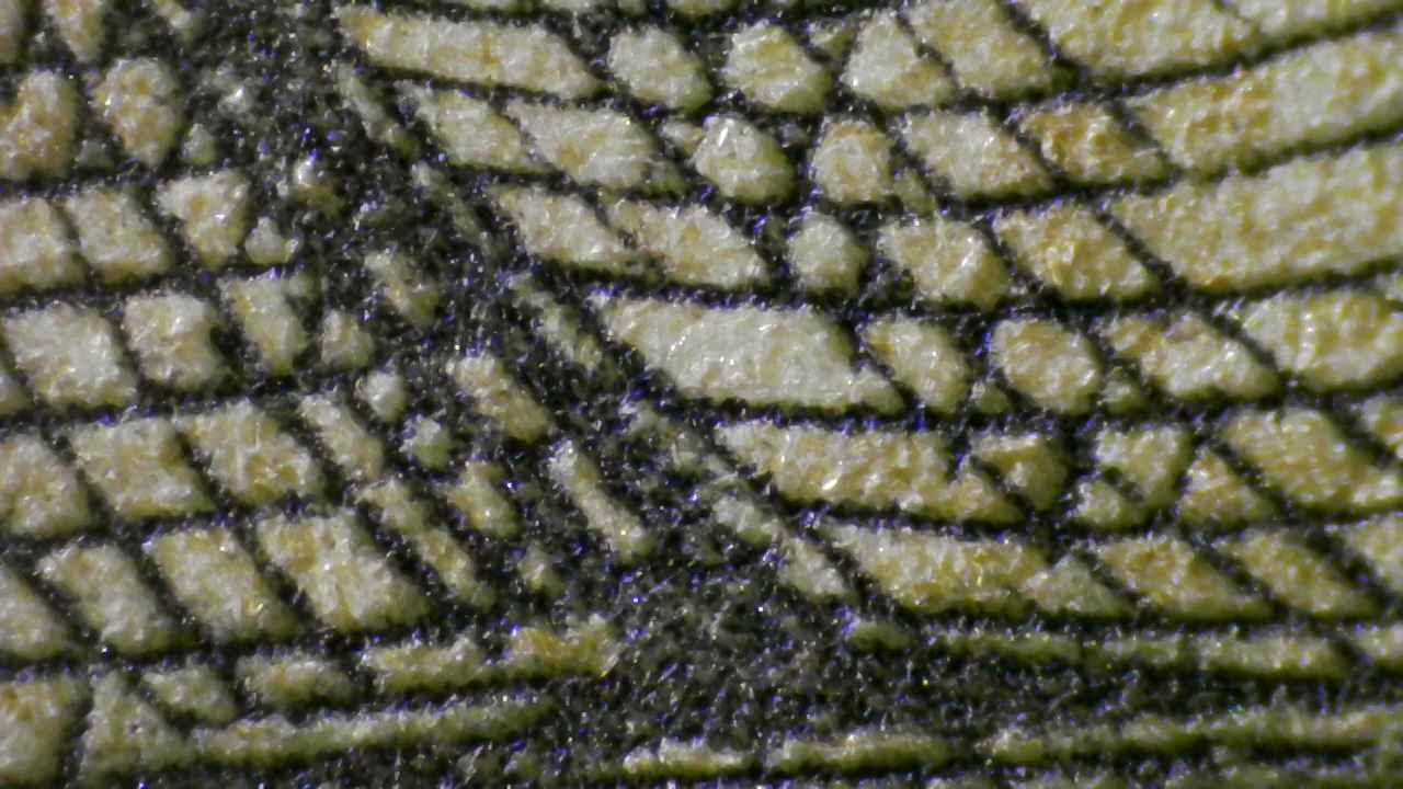 Fig.10 Micro Details