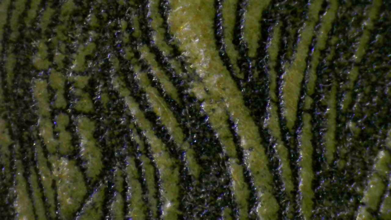 Fig.12 Micro Details