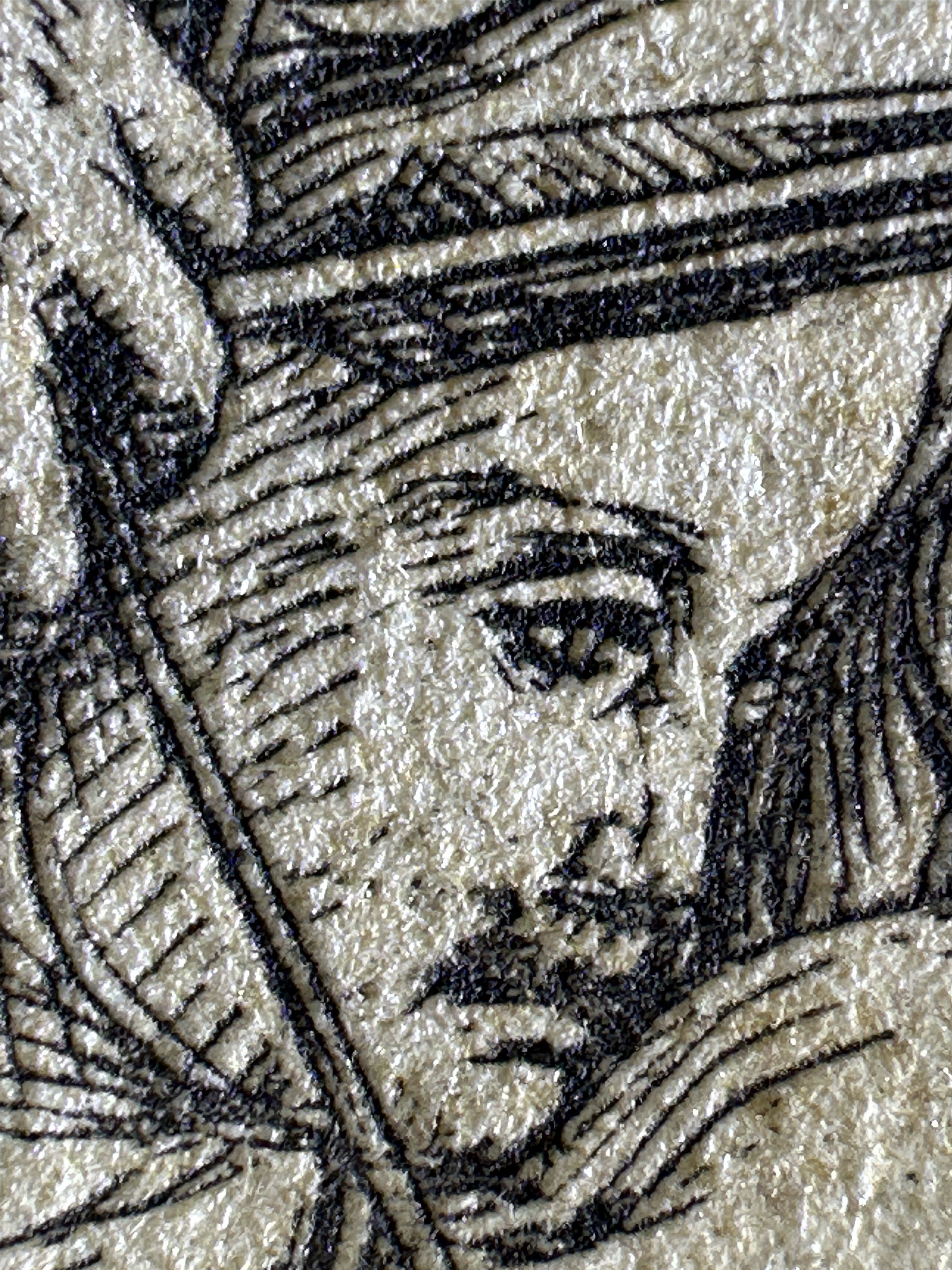 Fig.15 Macro Details