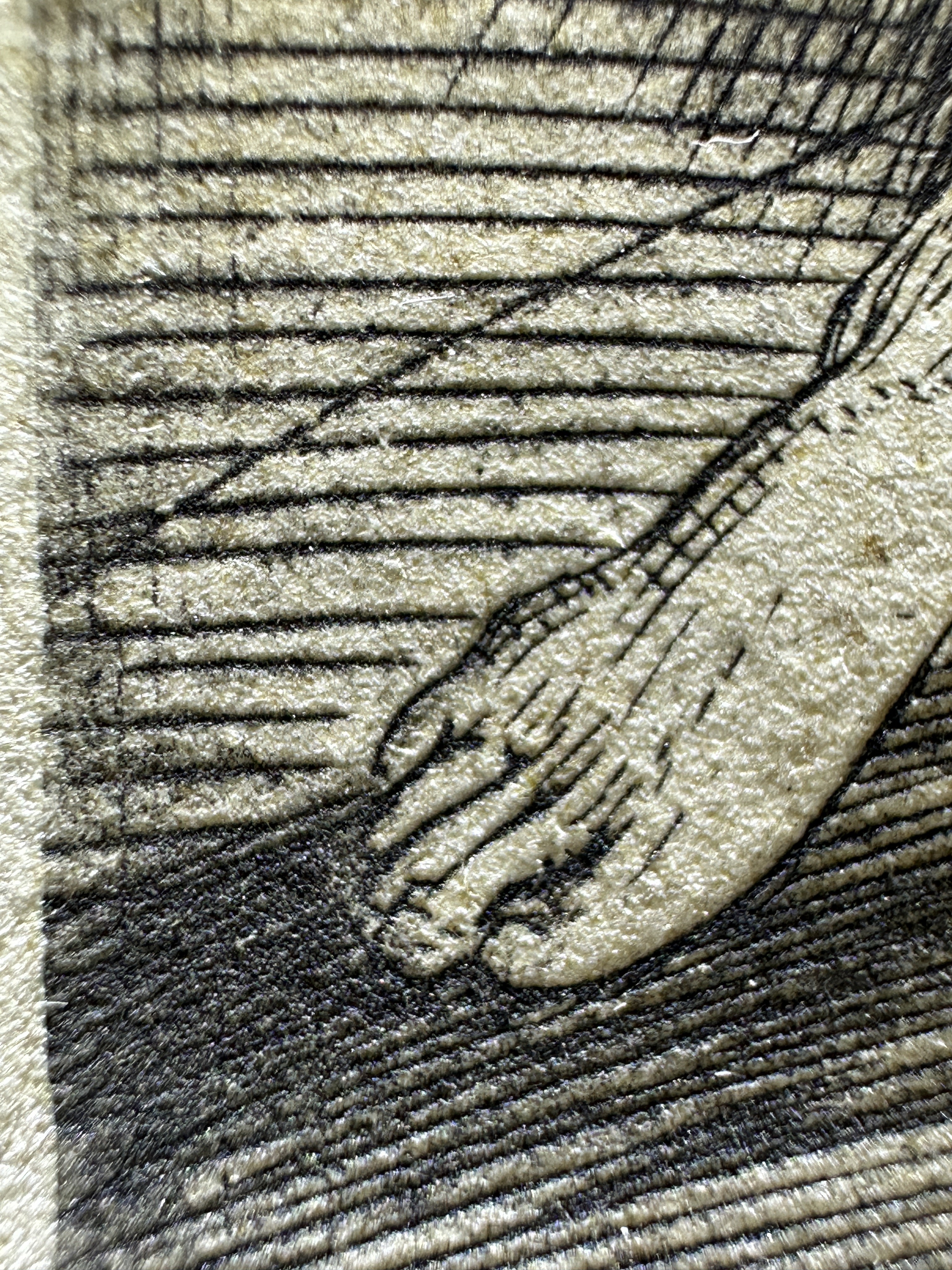 Fig.14 Macro Details