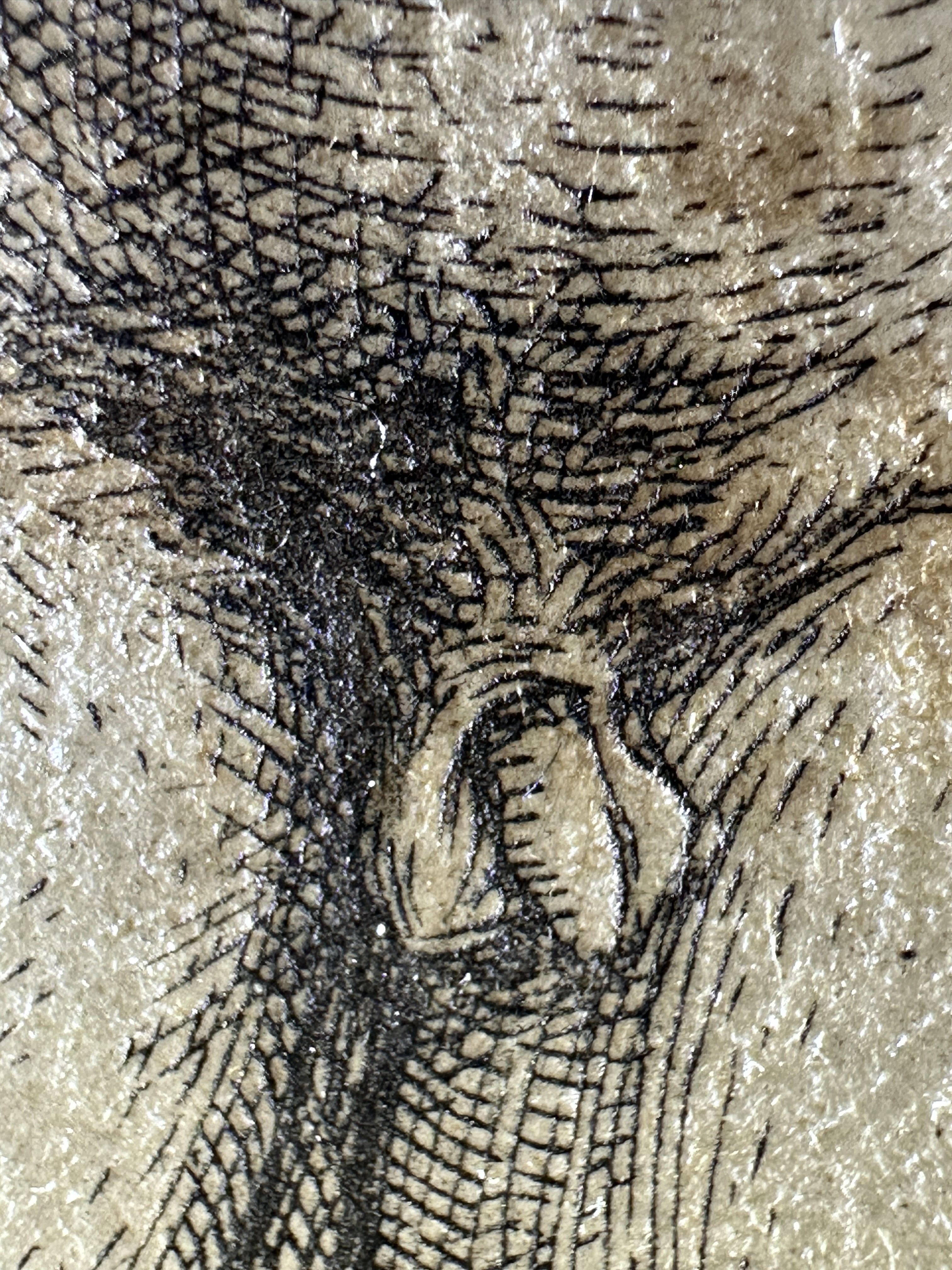 Fig.17 Macro Details