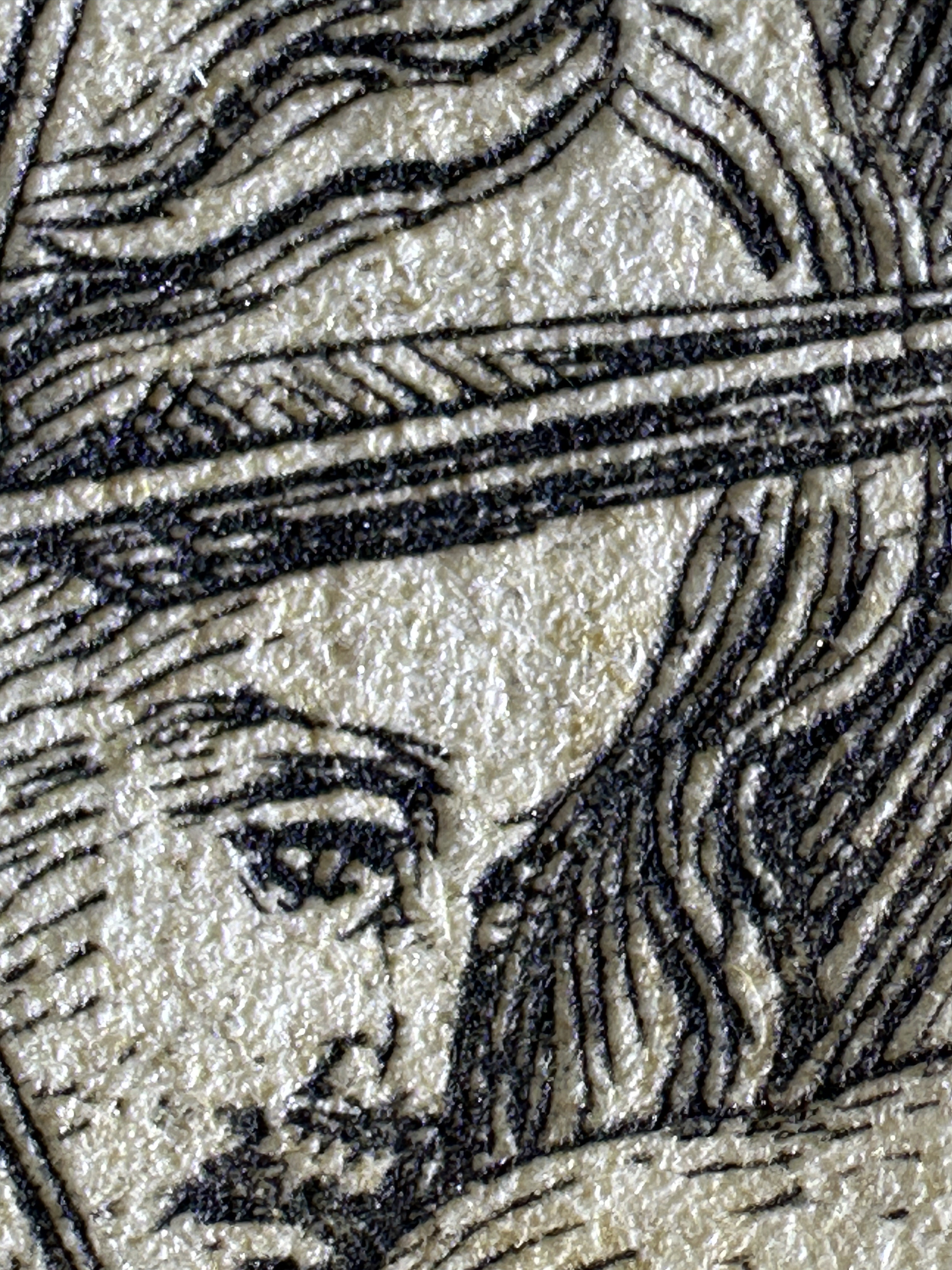 Fig.16 Macro Details