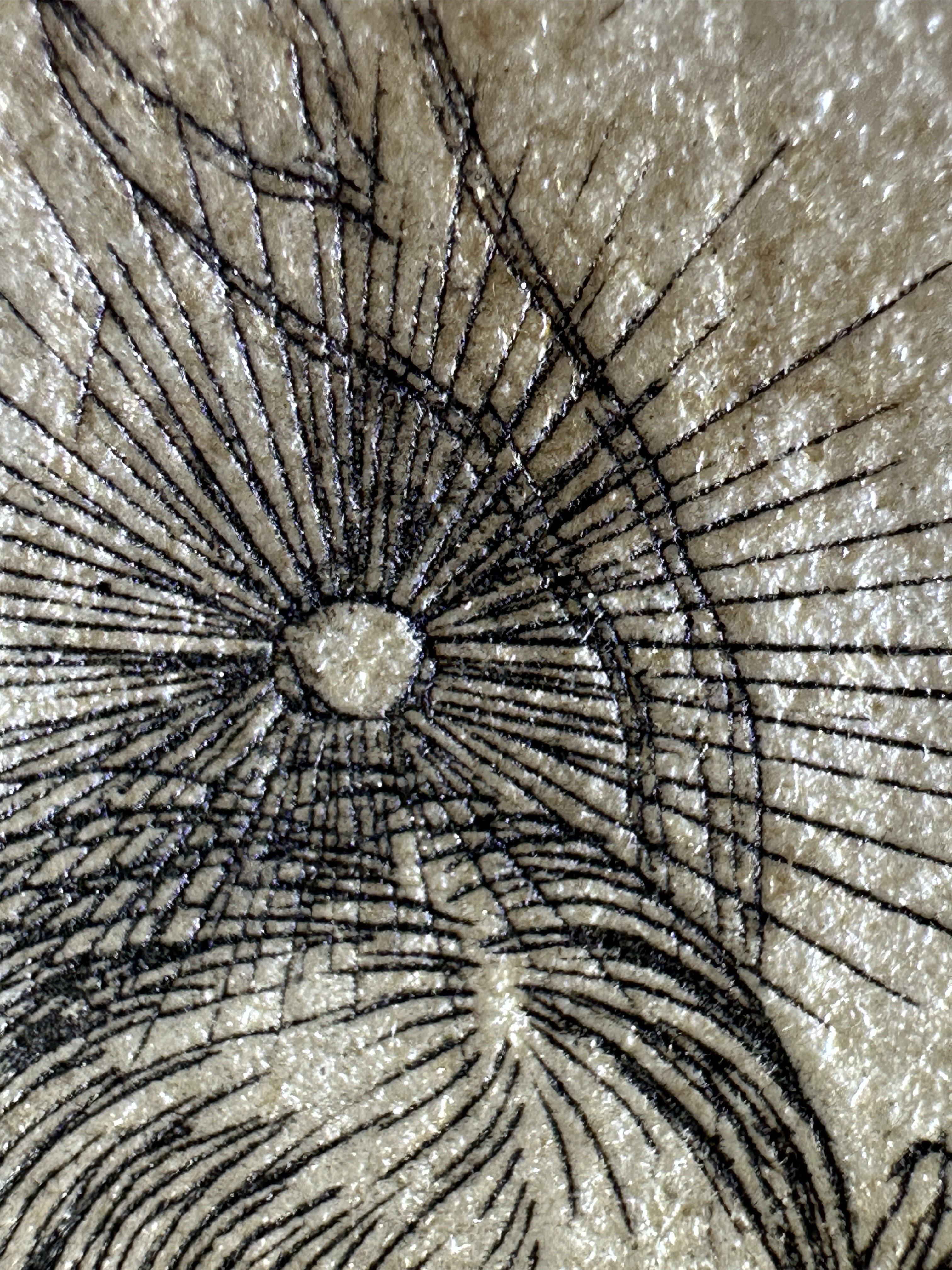 Fig.19 Macro Details