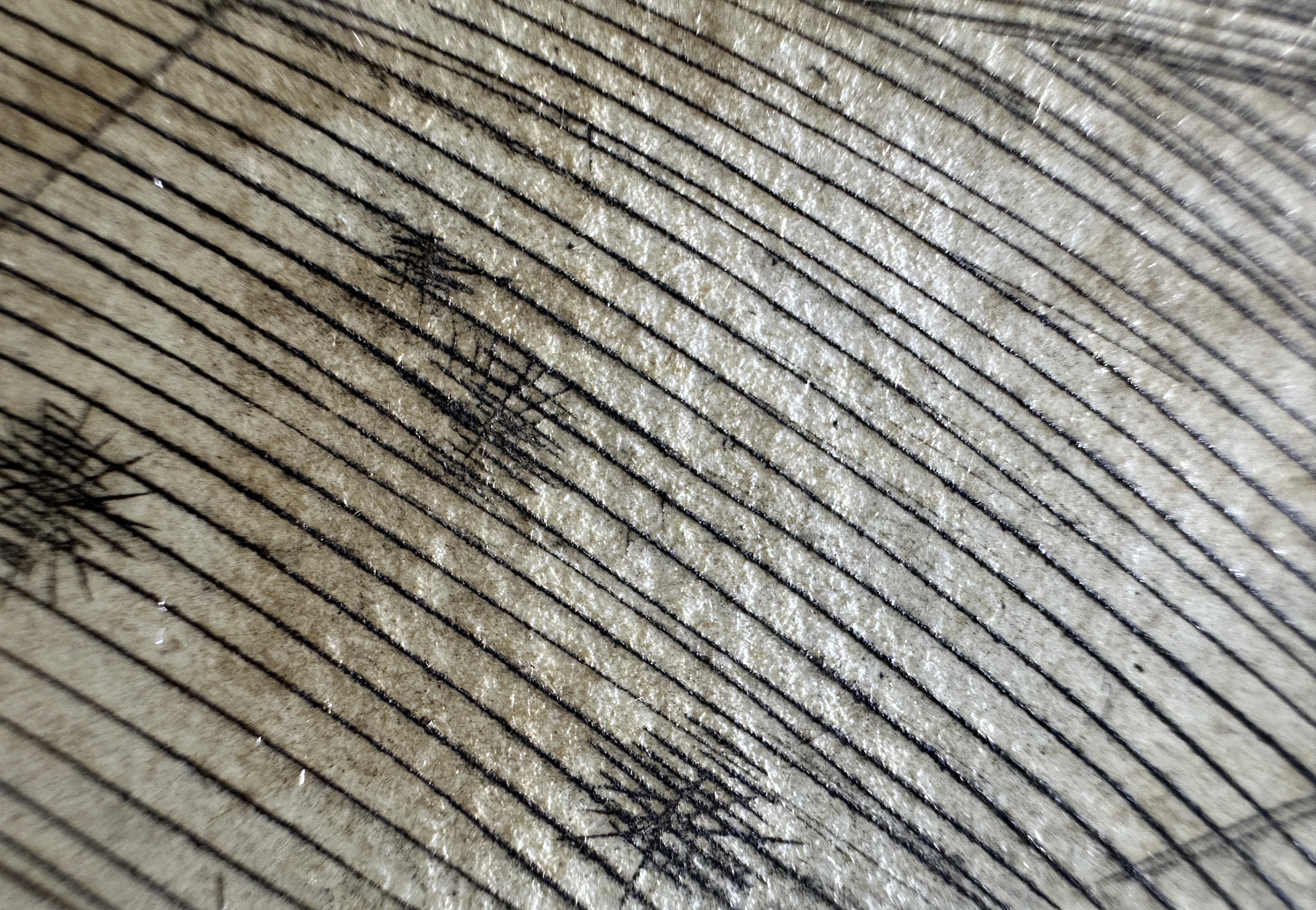 Fig.12 Macro Details