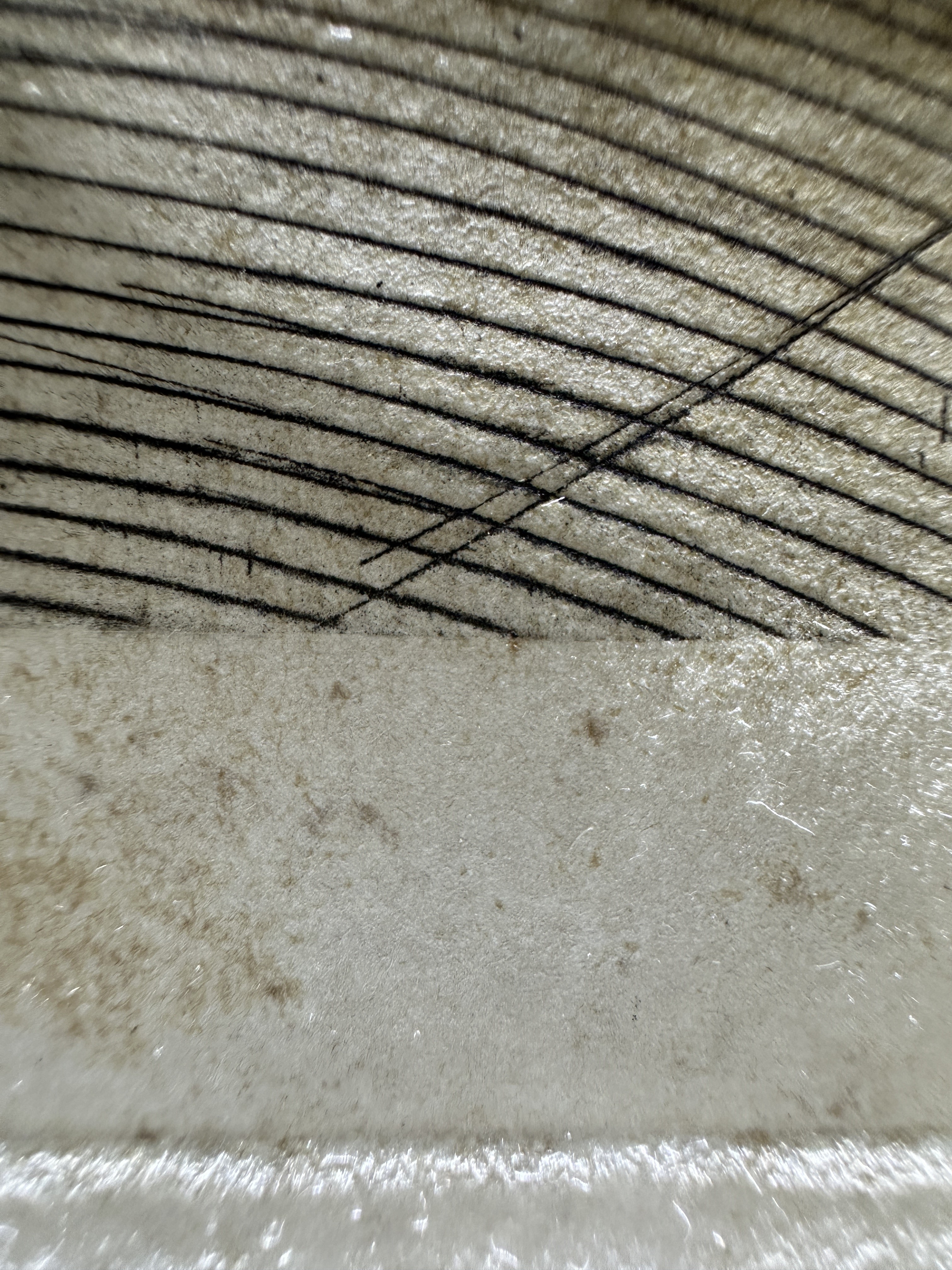 Fig.22 Macro Details