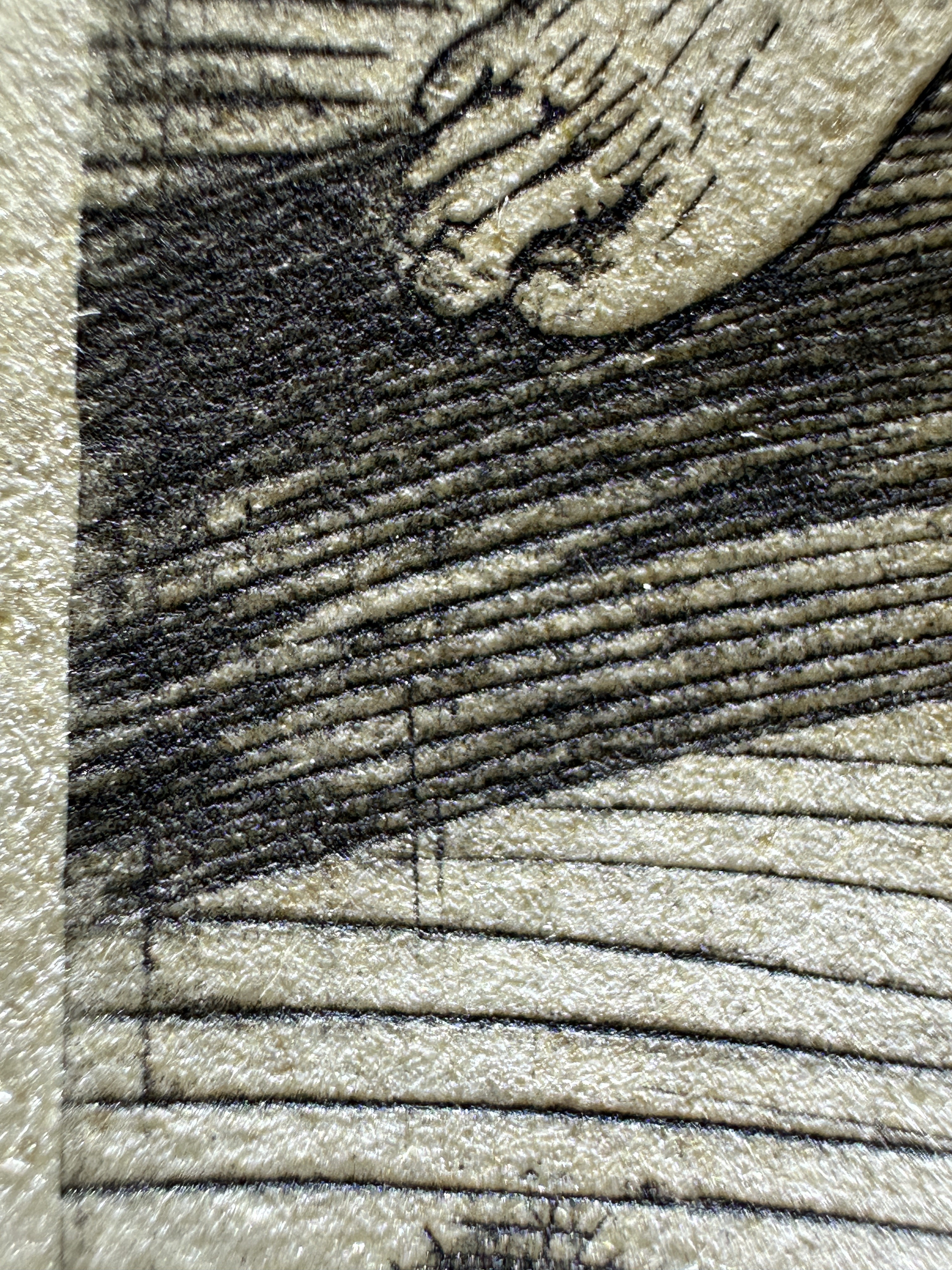 Fig.13 Macro Details