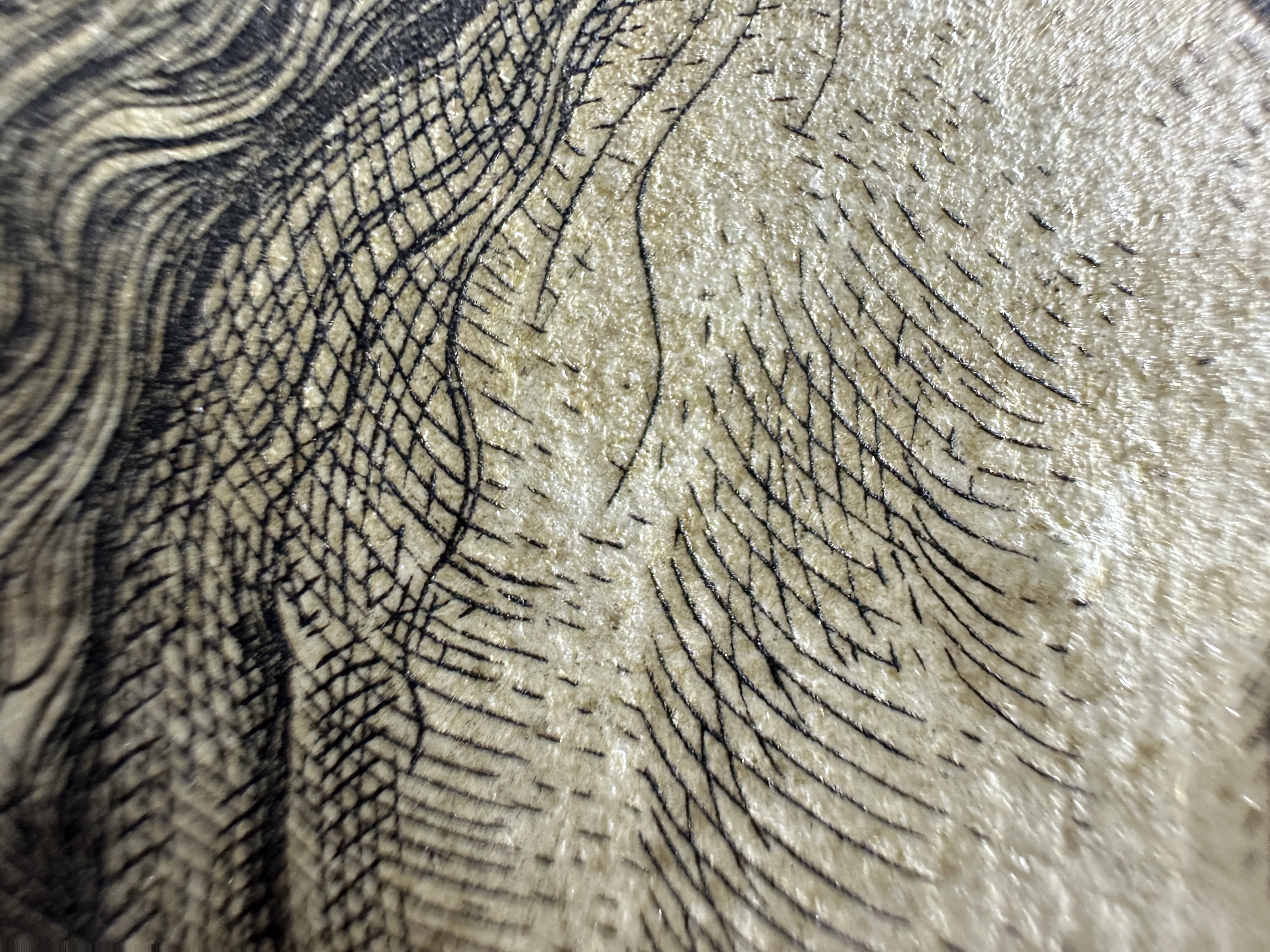 Fig.18 Macro Details