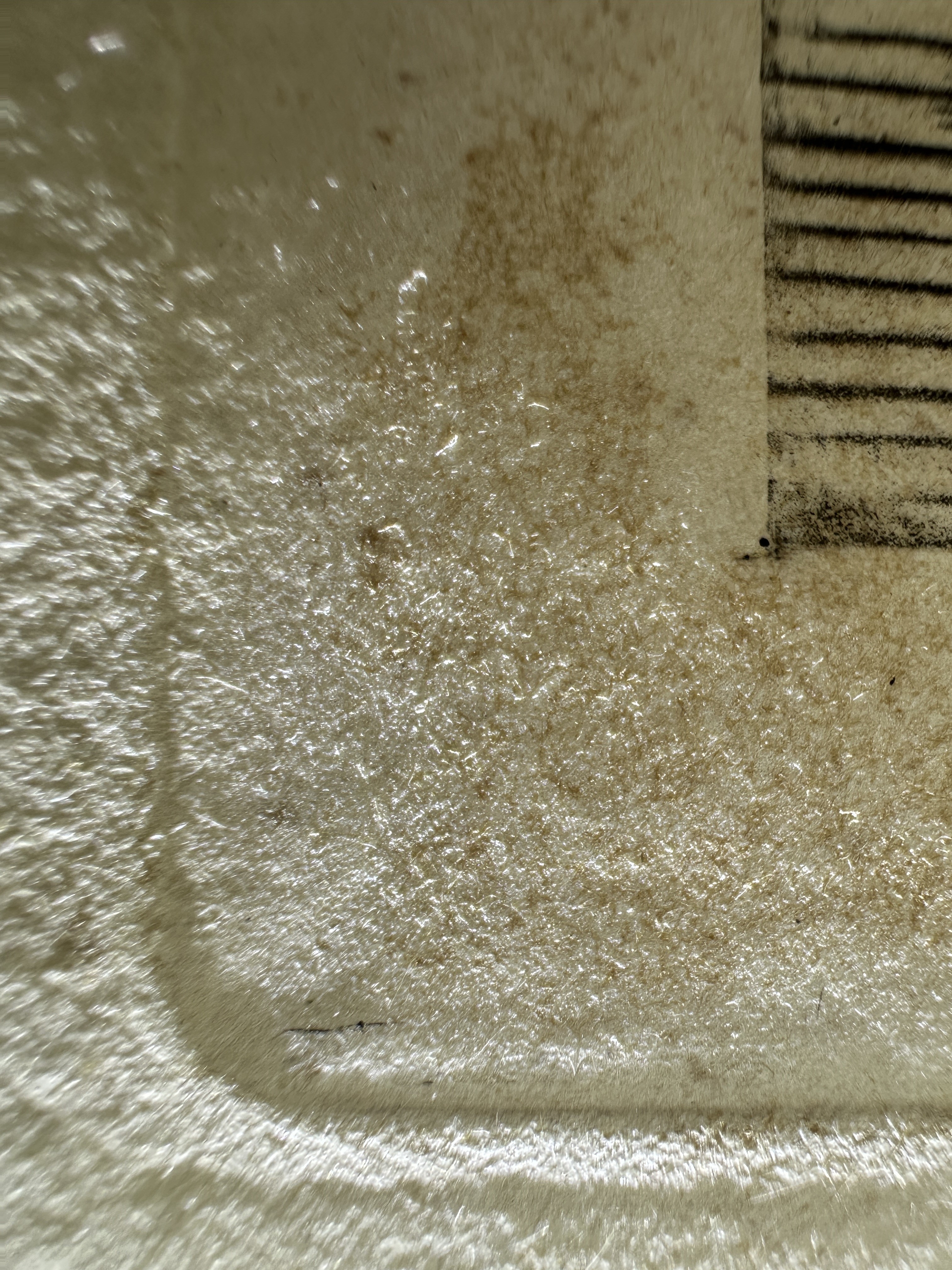 Platemark, lower left