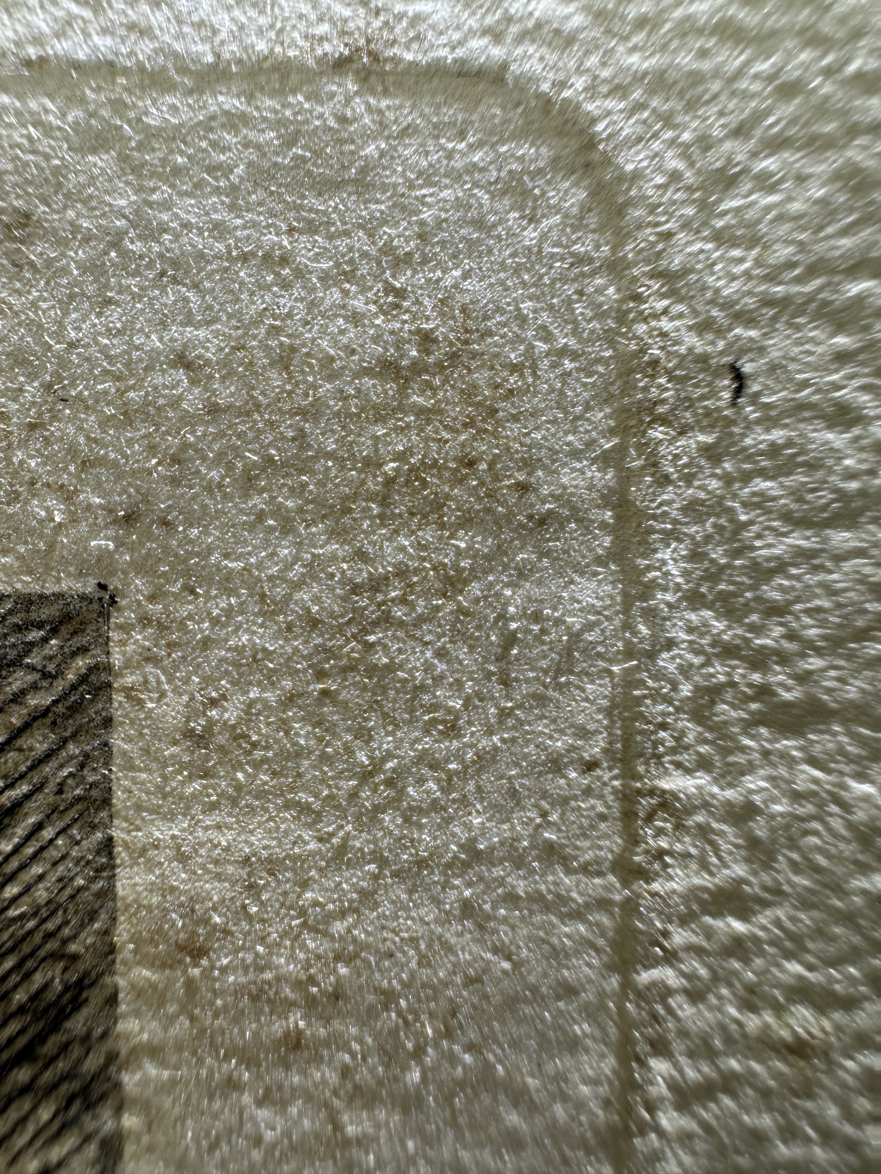 Platemark, lower right