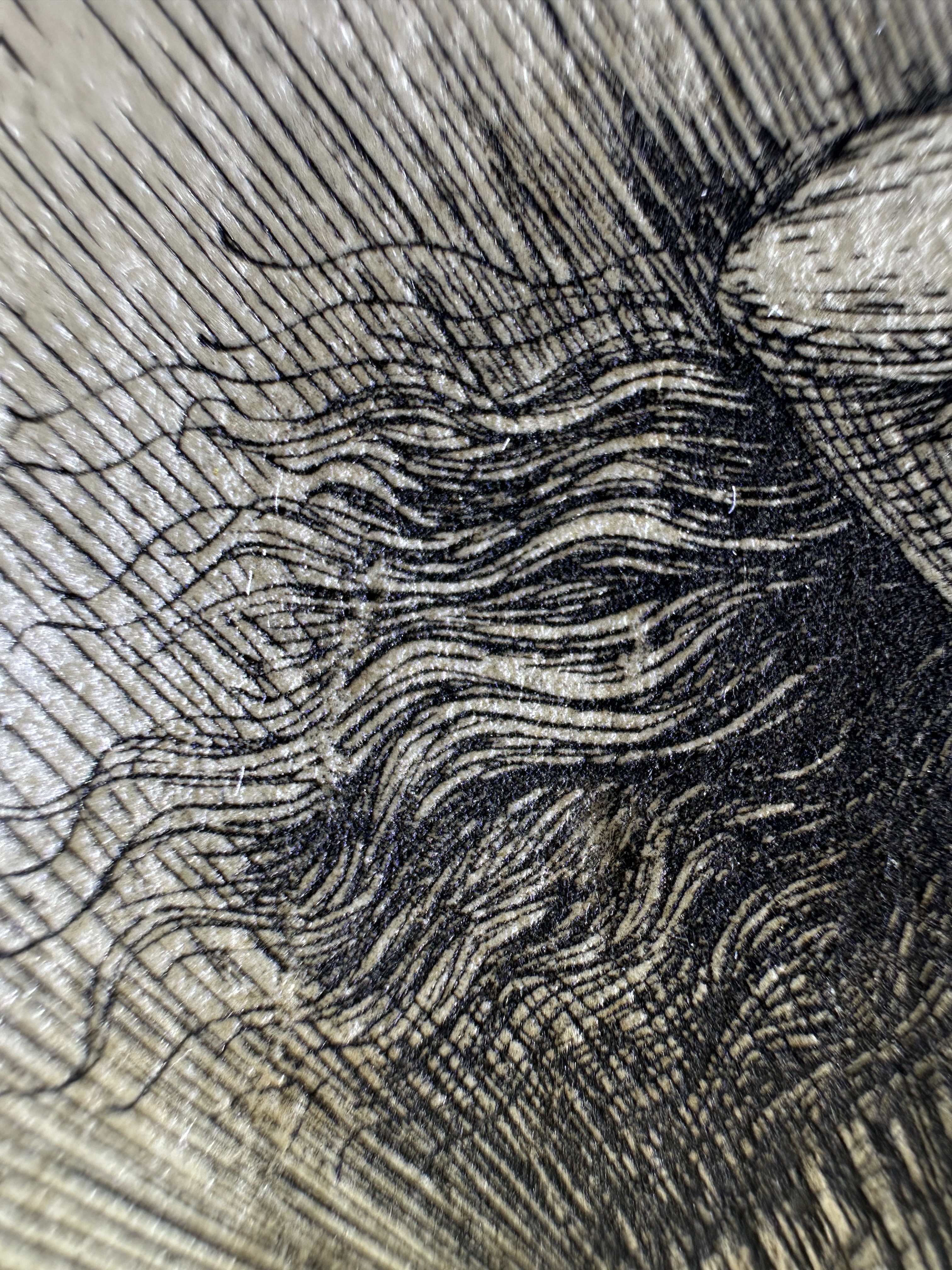 Fig.27 Macro Details