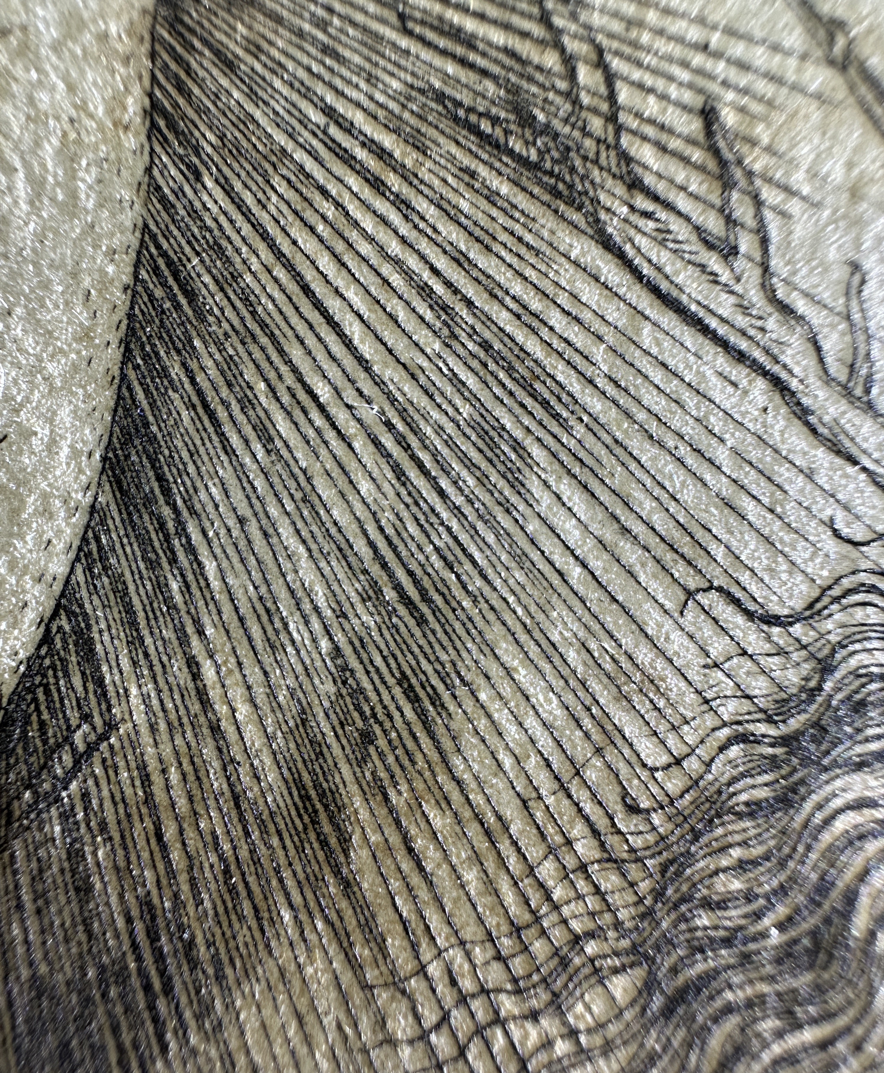 Fig.25 Macro Details