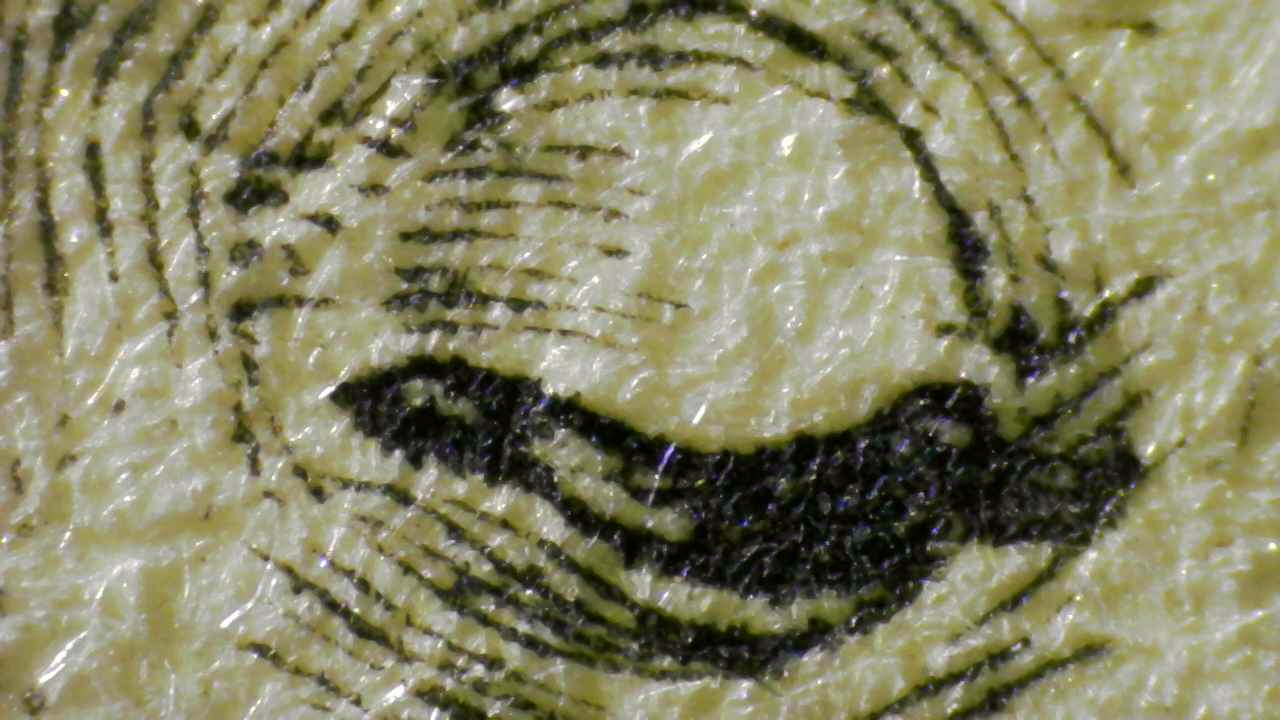 Fig.1 — Microscopic ink–fiber interaction under printing pressure