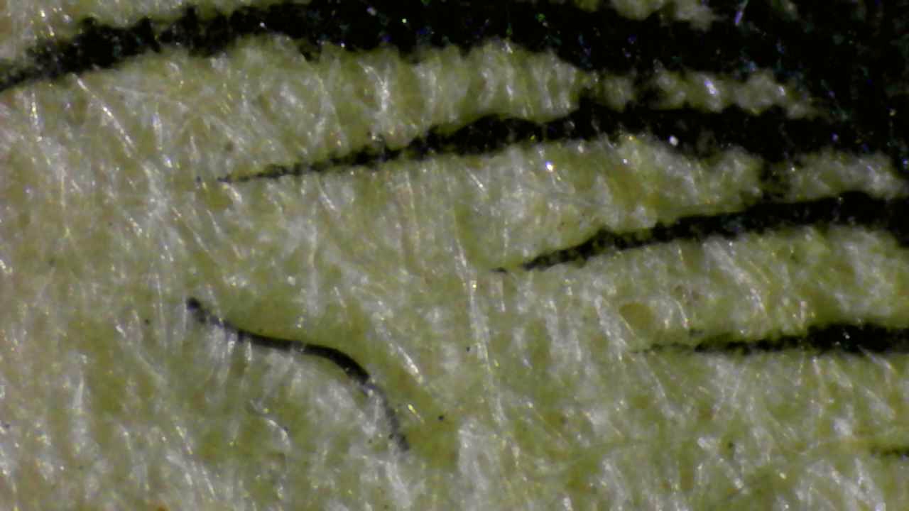 Fig.6 — Ink-fiber interaction with heterogeneous fibers