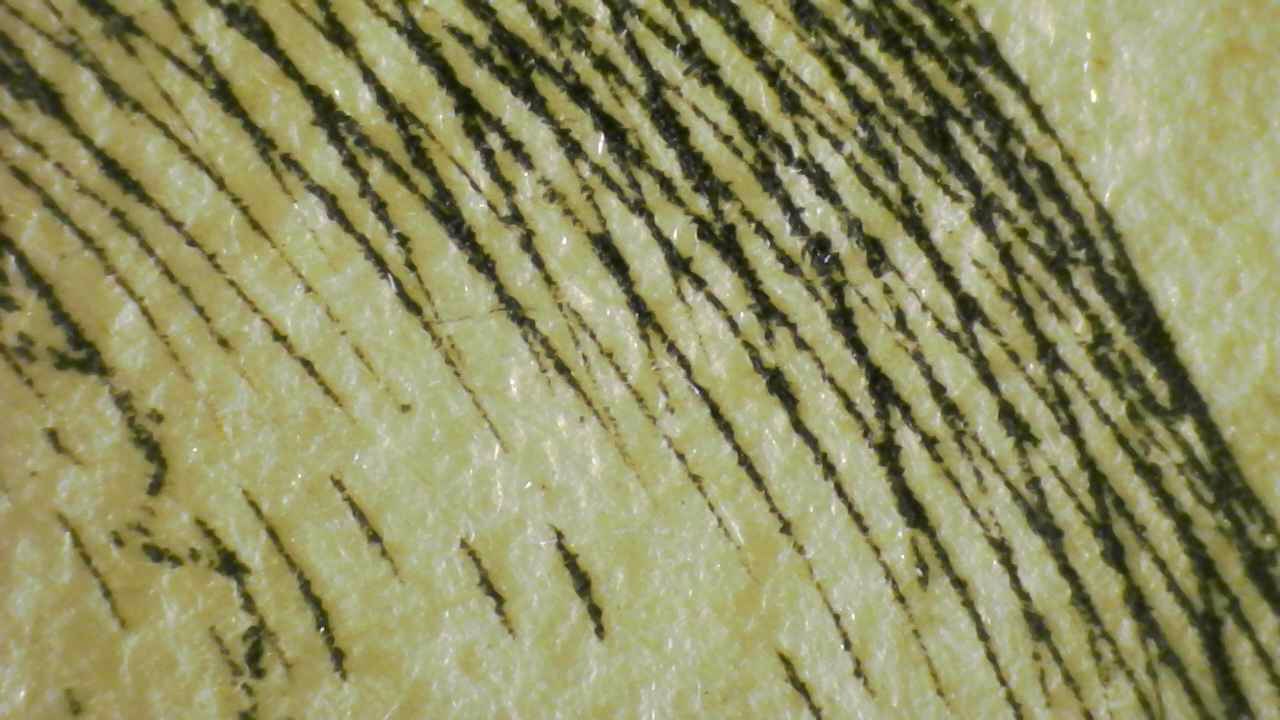 Fig.12 Micro Details