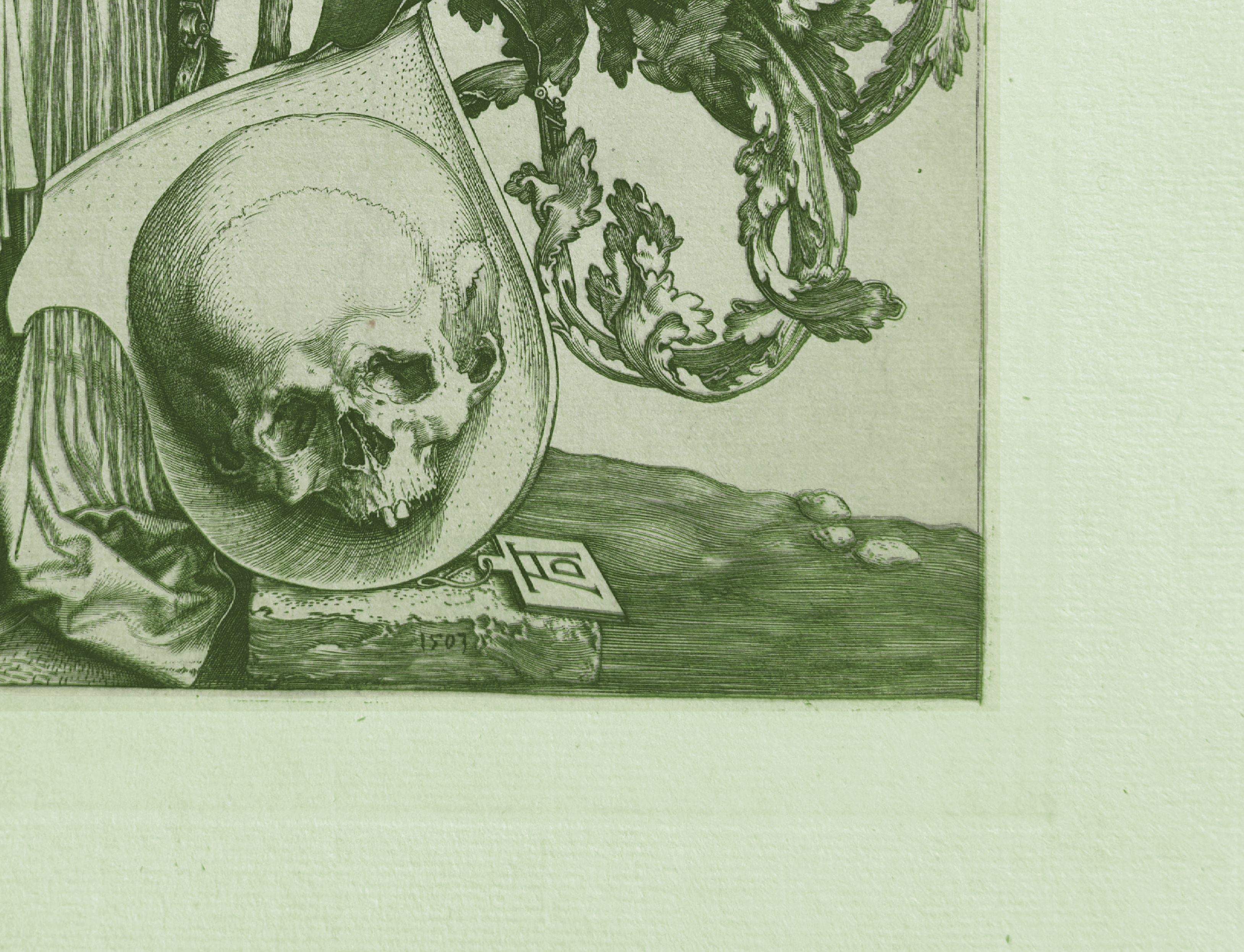 Overlay (critical zone) — skull