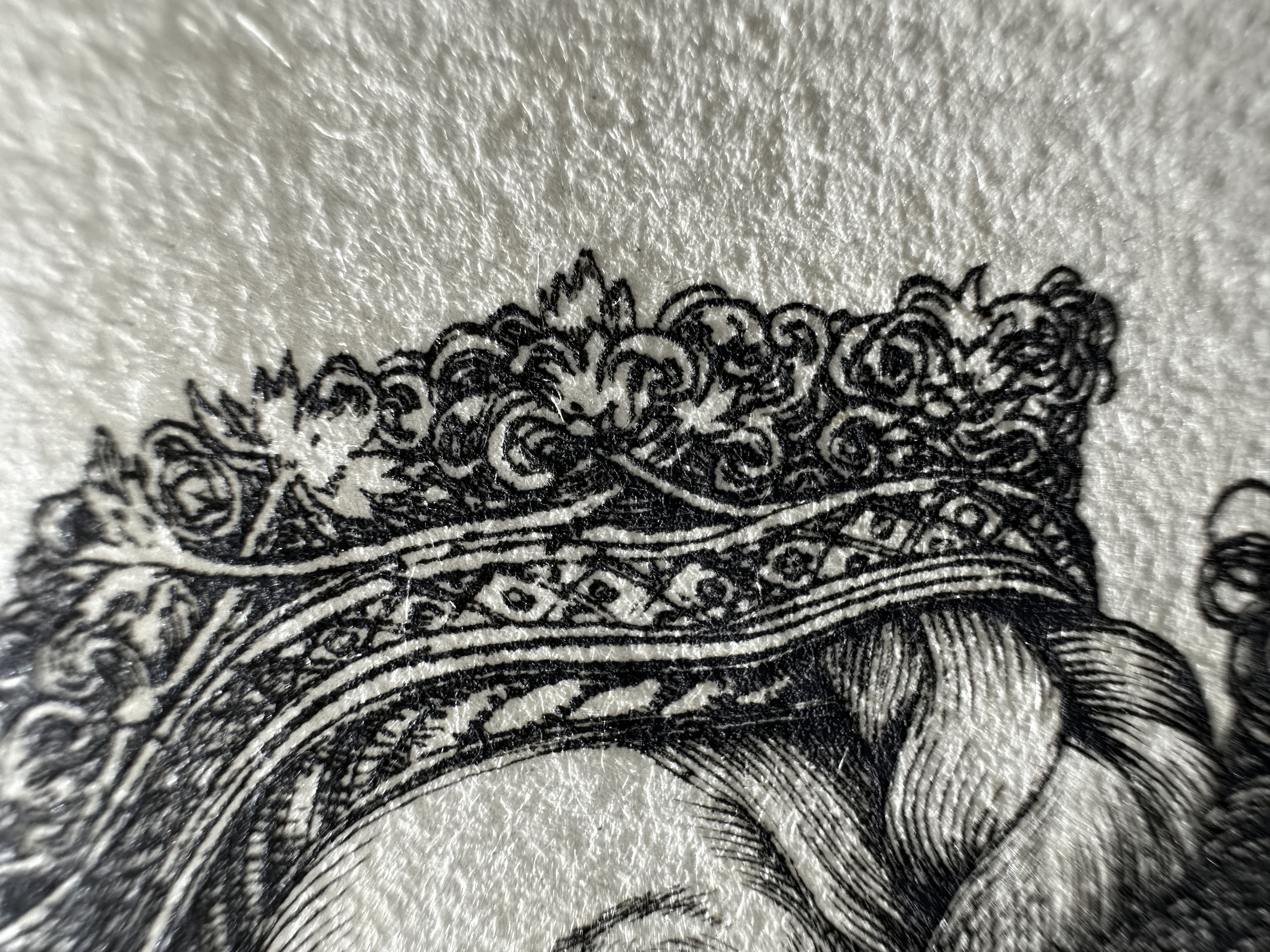 Fig.14 Macro Details