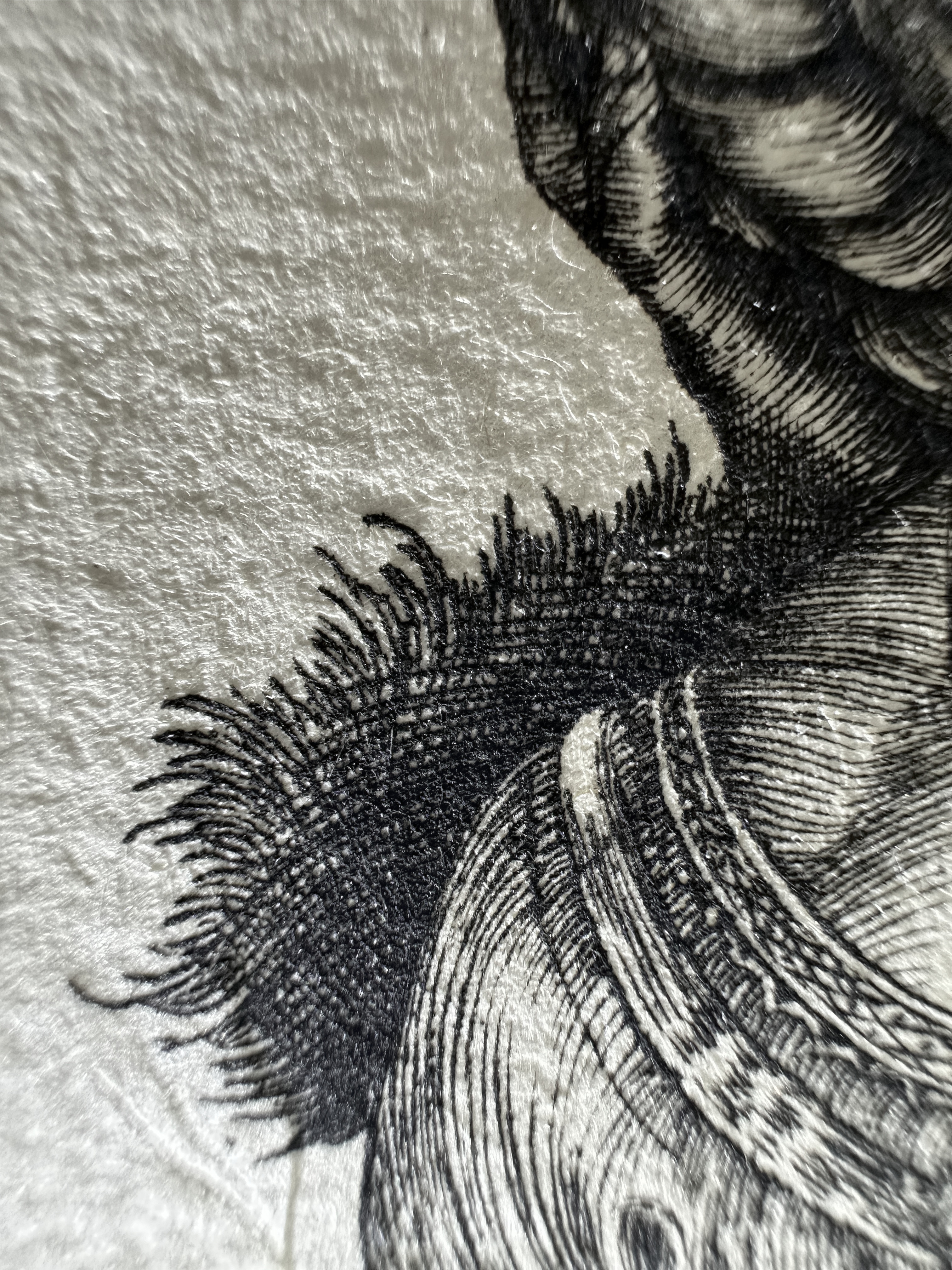 Fig.10 Macro Details