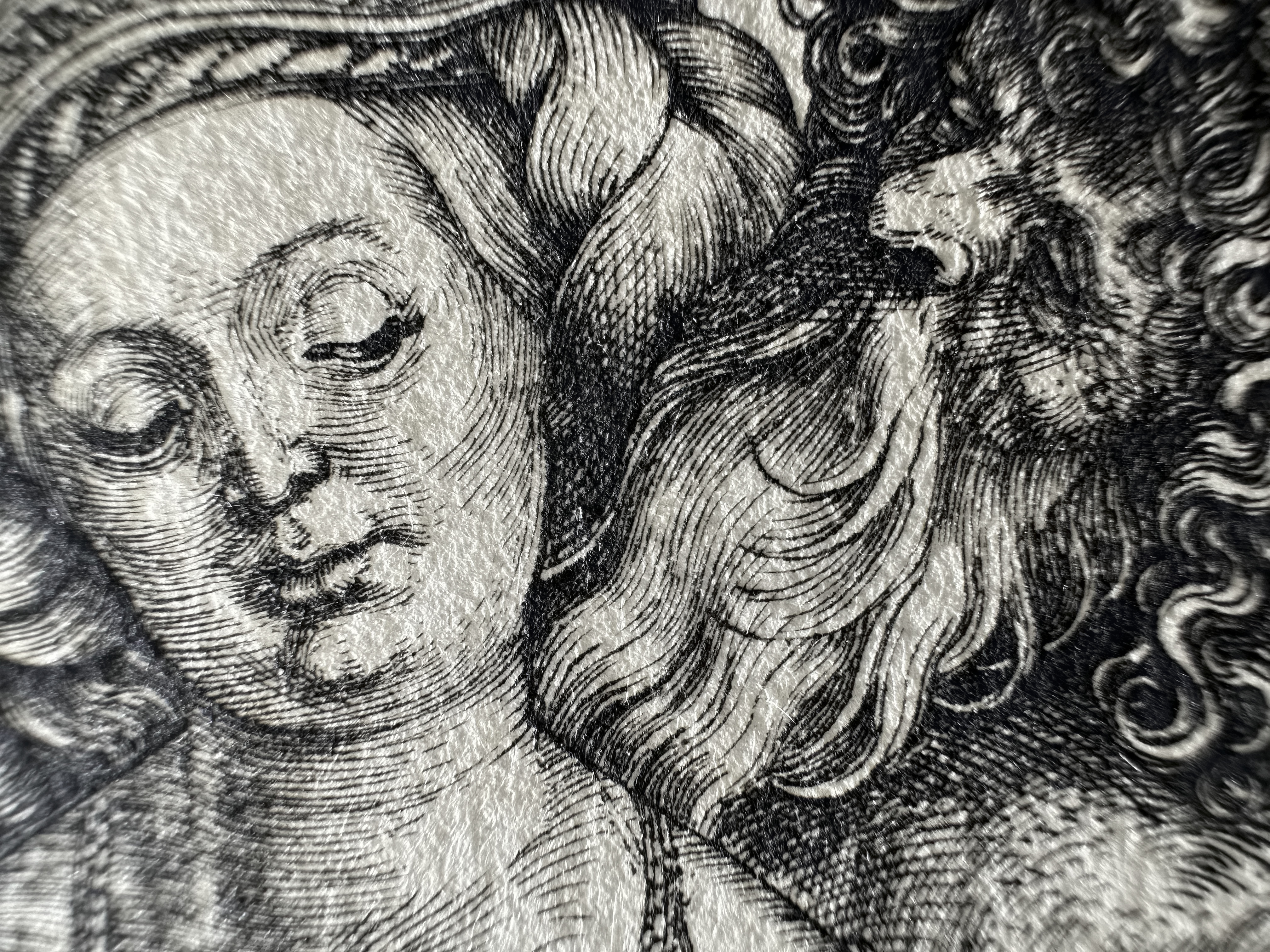 Fig.11 Macro Details