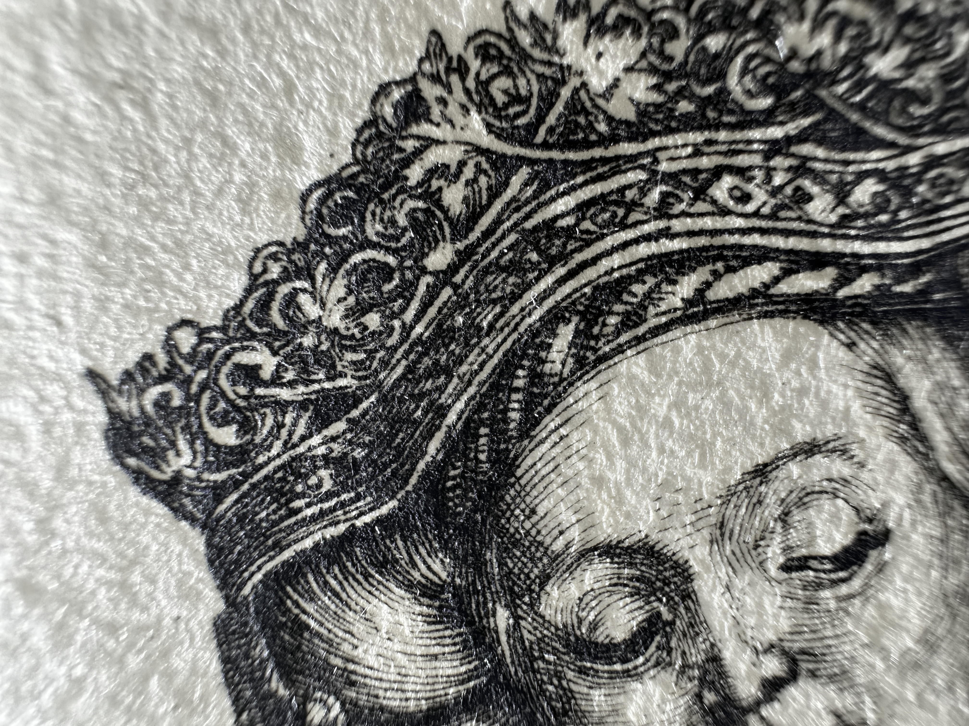 Fig.15 Macro Details