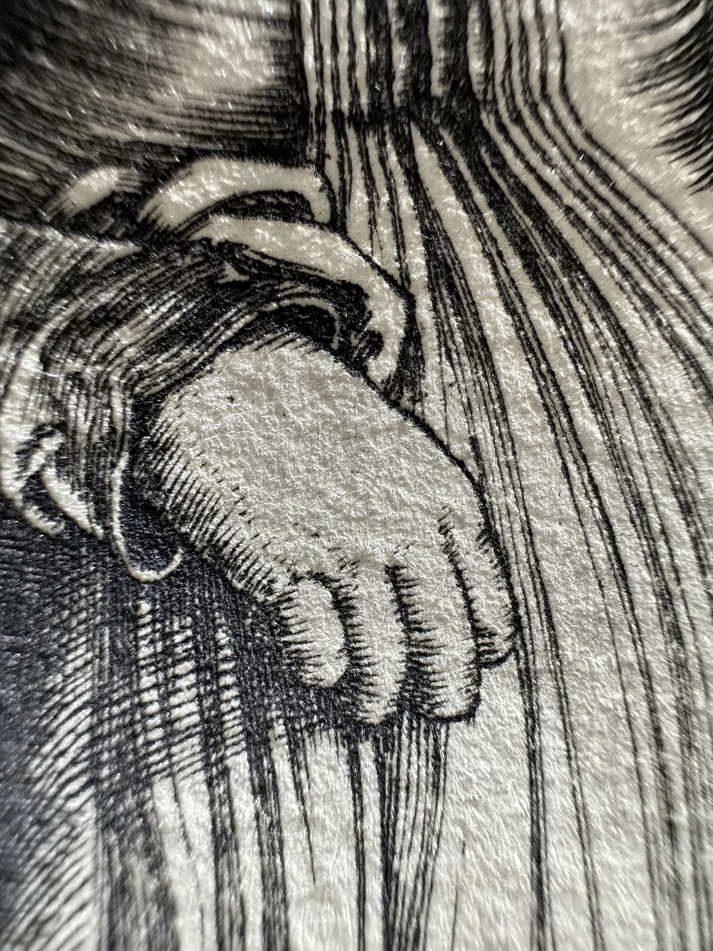 Fig.17 Macro Details