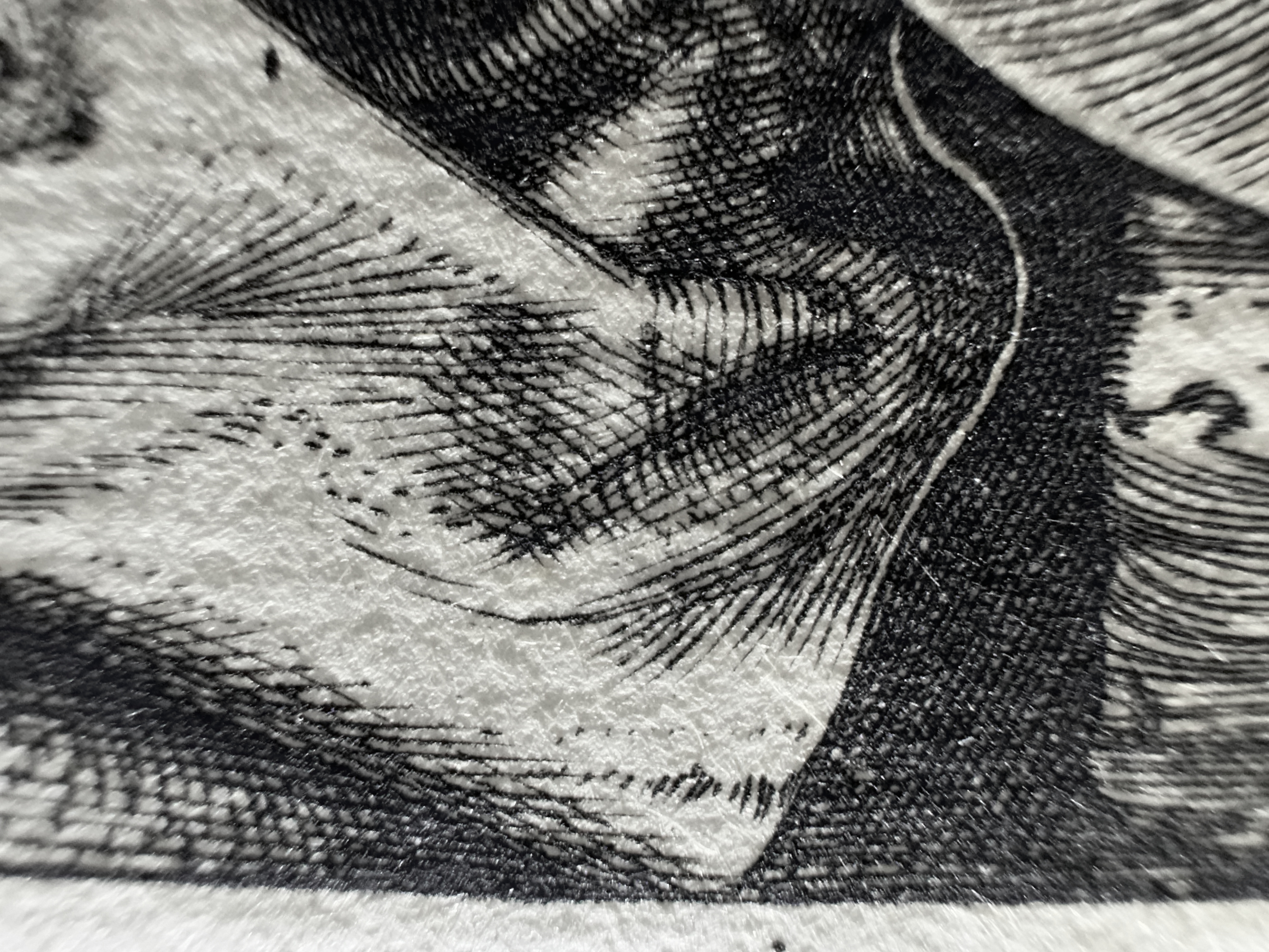 Fig.22 Macro Details